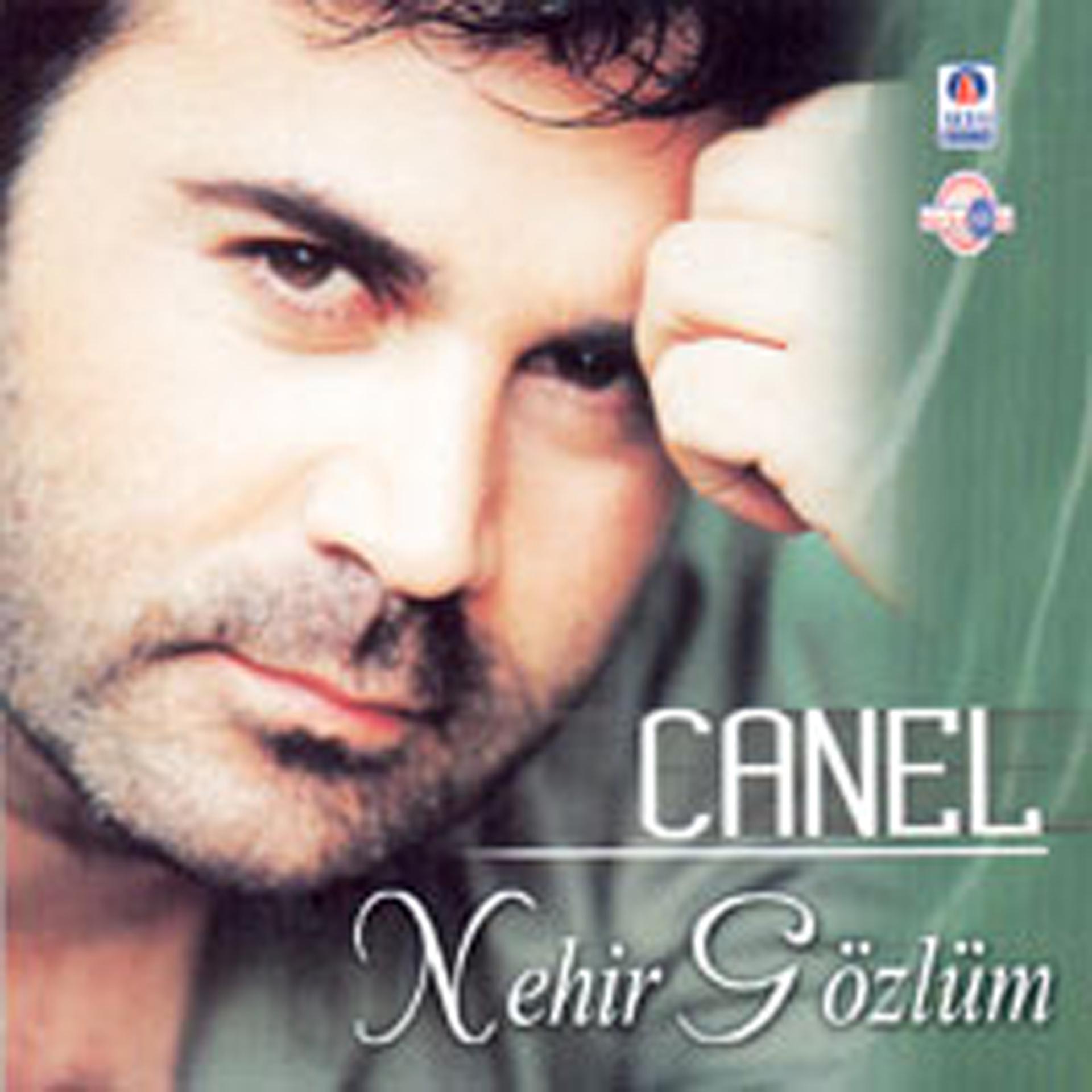 Постер альбома Nehir Gözlüm