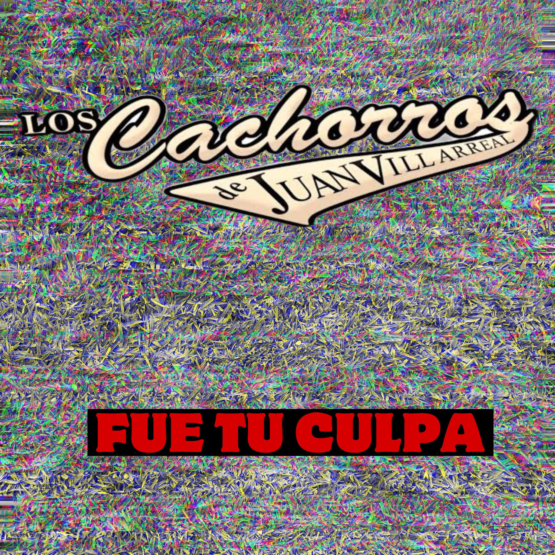 Постер альбома Fue Tu Culpa