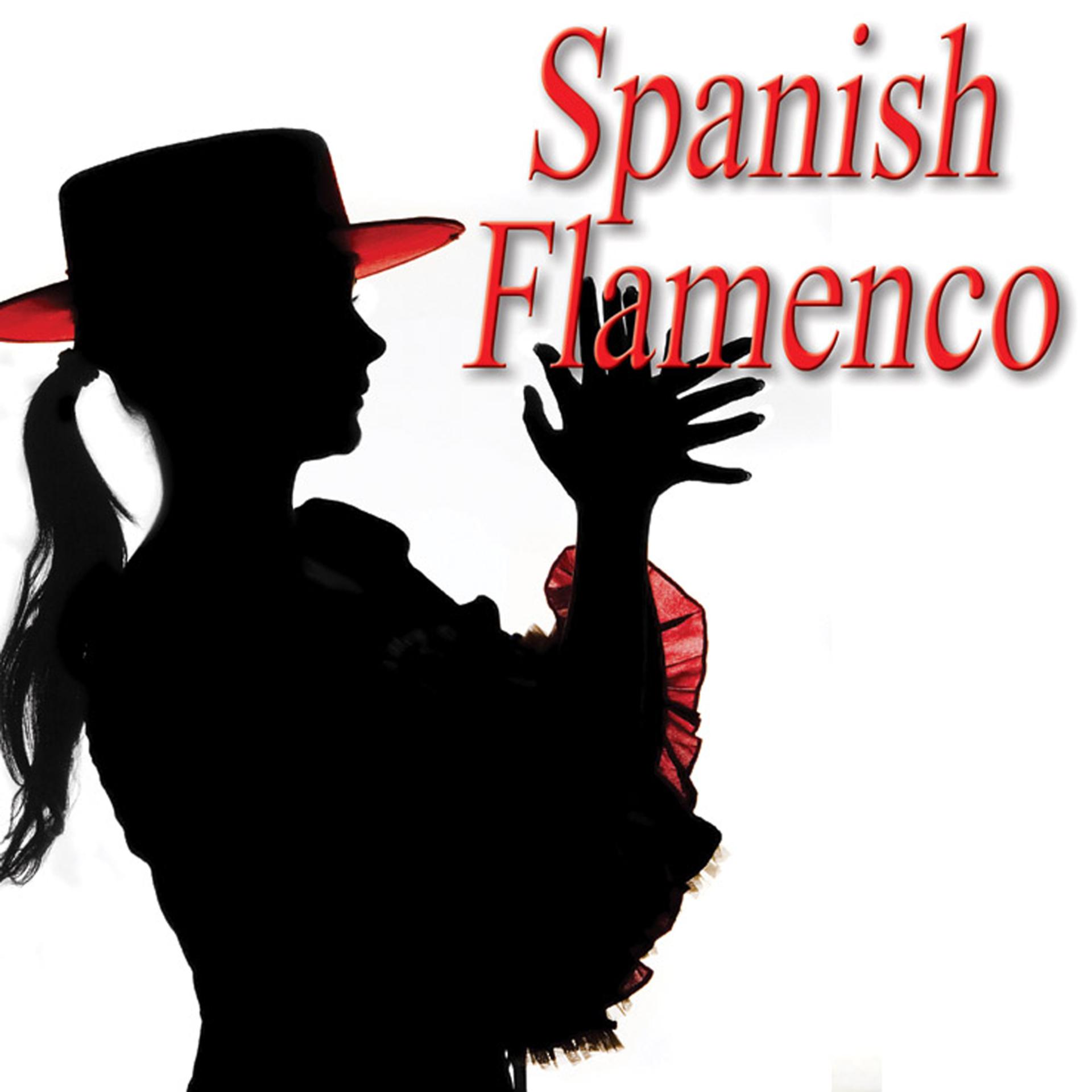 Постер альбома Flamenco  1