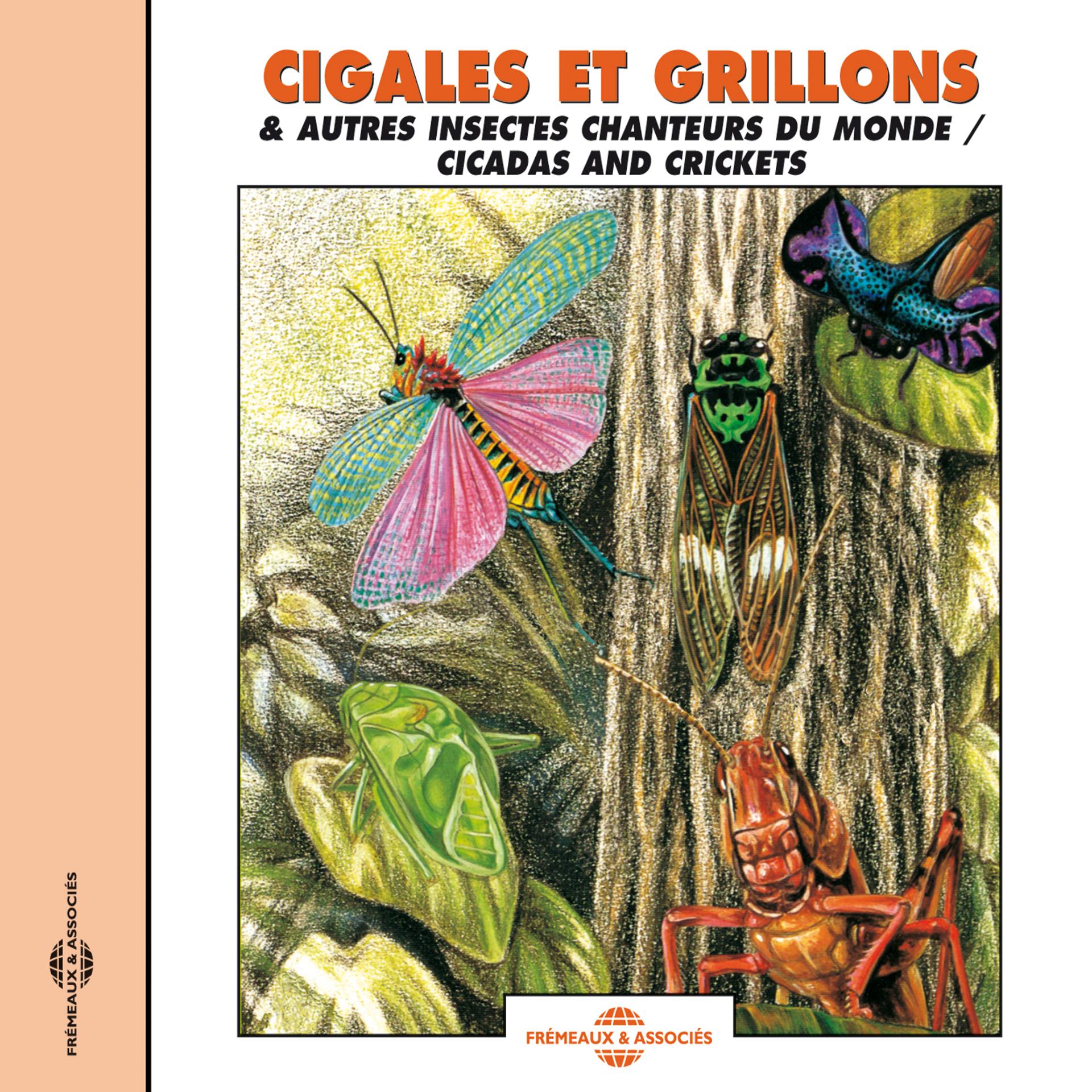 Постер альбома Cicadas And Crickets