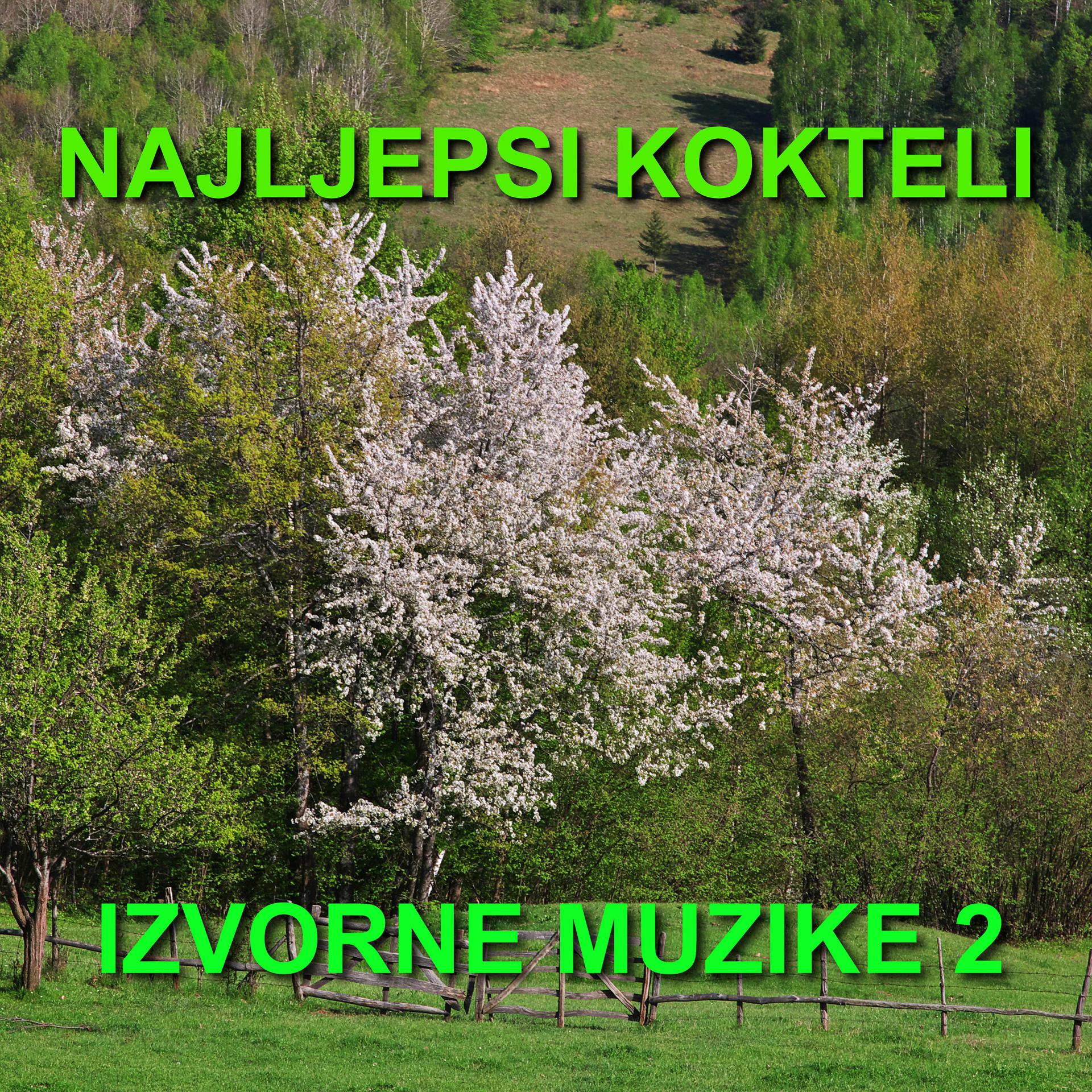 Постер альбома Najljepsi Kokteli Izvorne Muzike 2