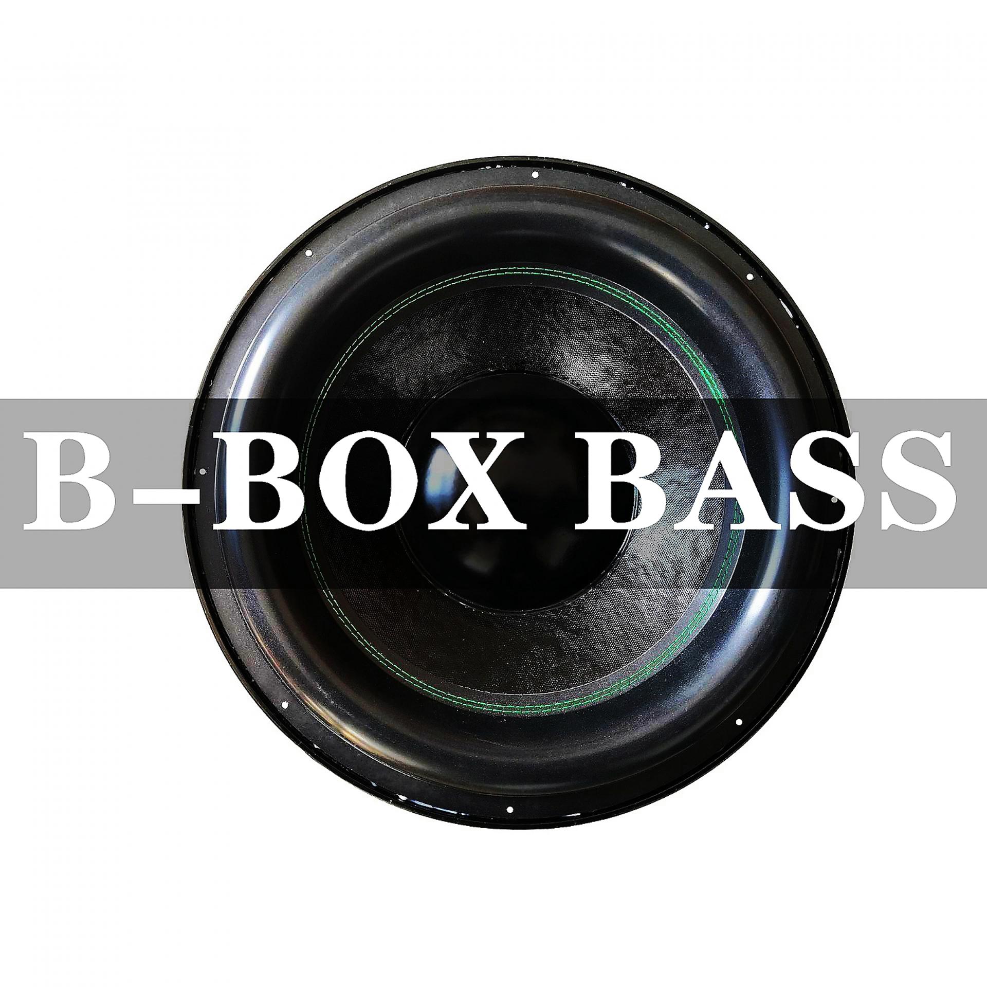 Постер альбома B-BOX BASS