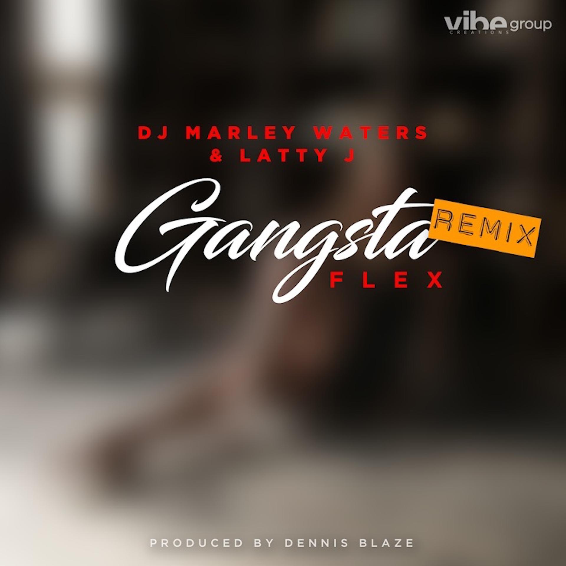 Постер альбома Gangsta Flex (Remix) (feat. Latty J & DJ Marley Waters)