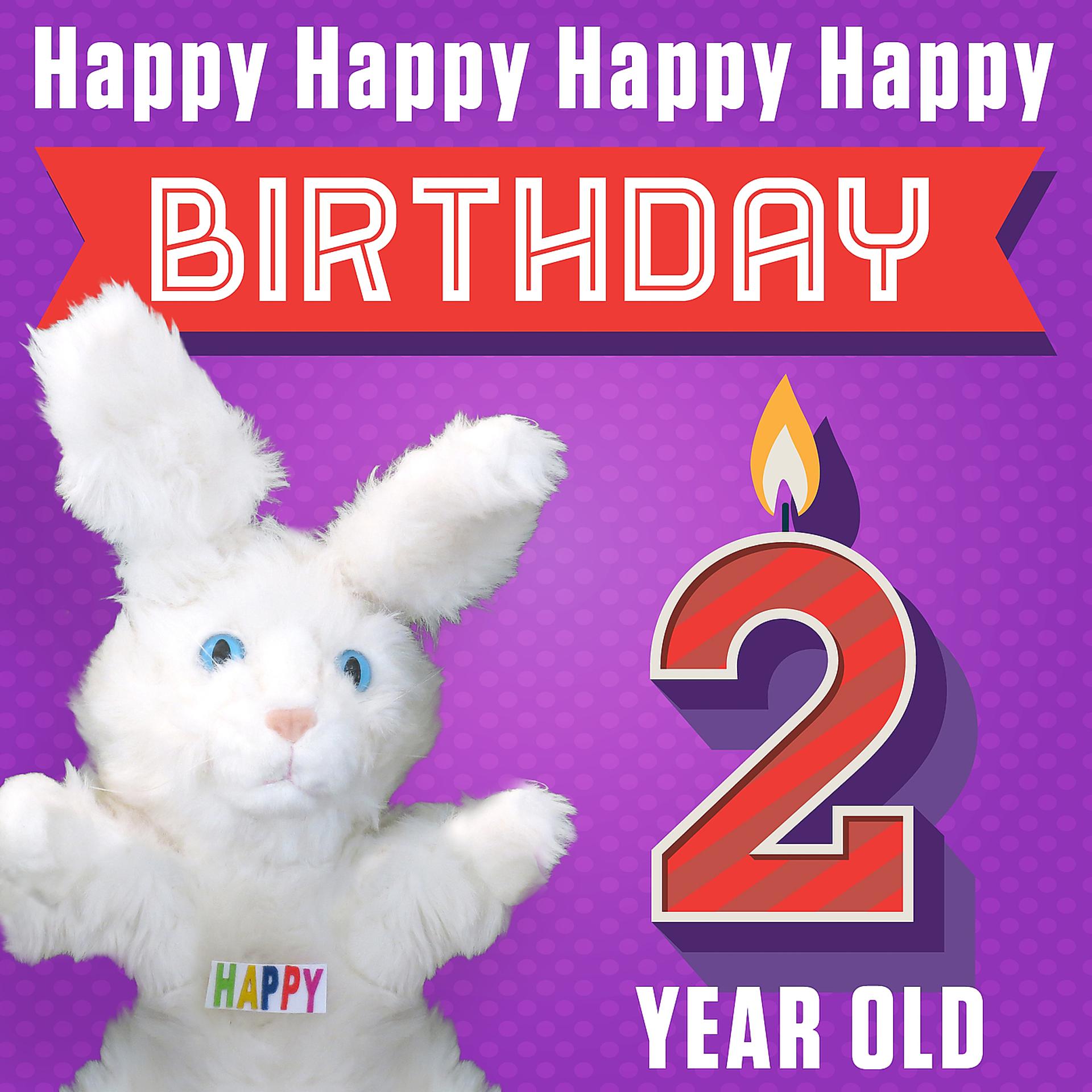 Постер альбома Happy Happy Happy Happy Birthday (Two Year Old)