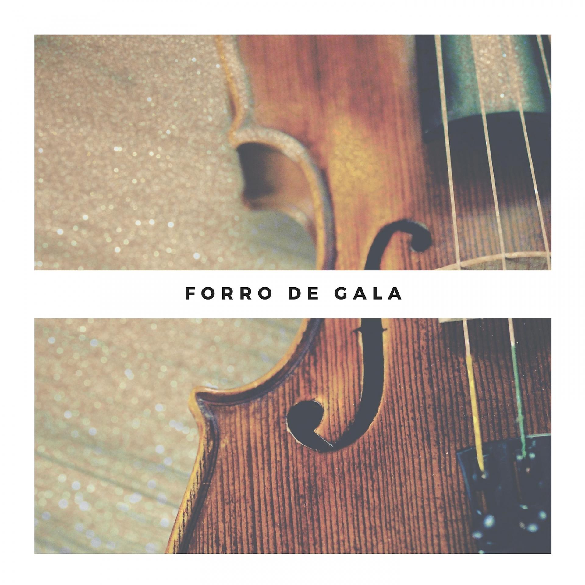 Постер альбома Forro de Gala
