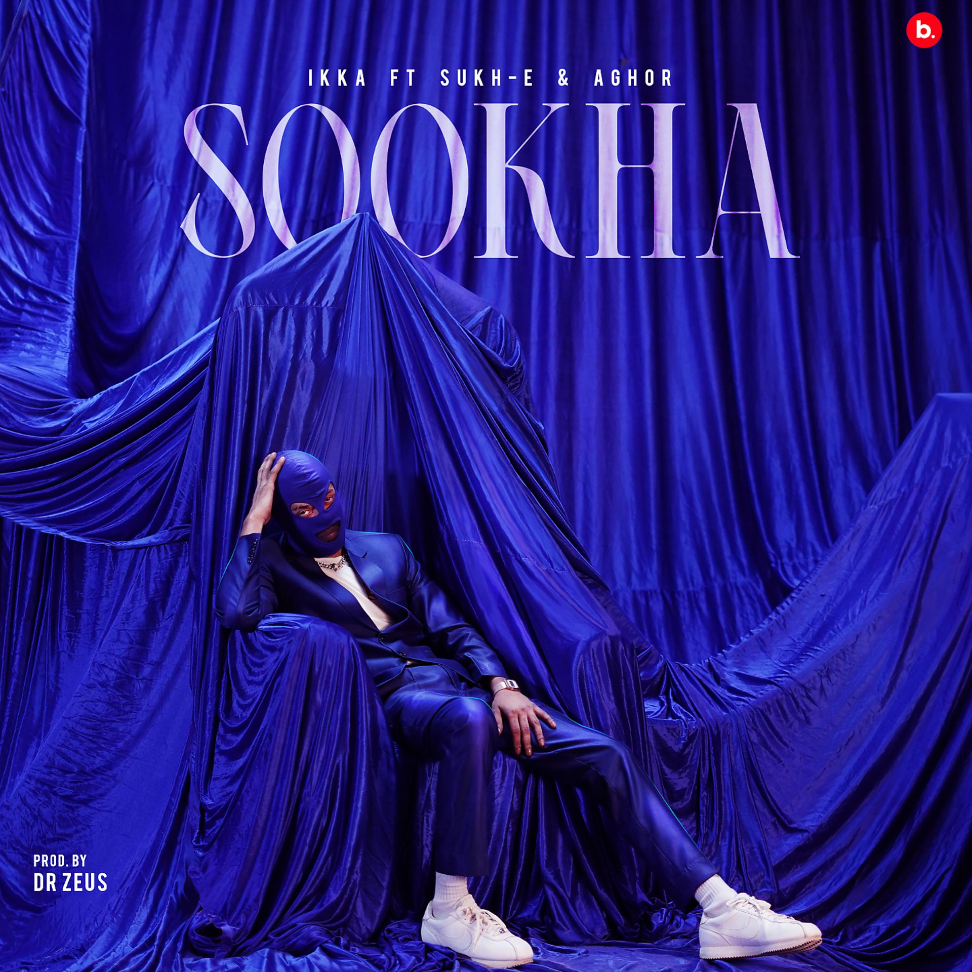 Постер альбома Sookha