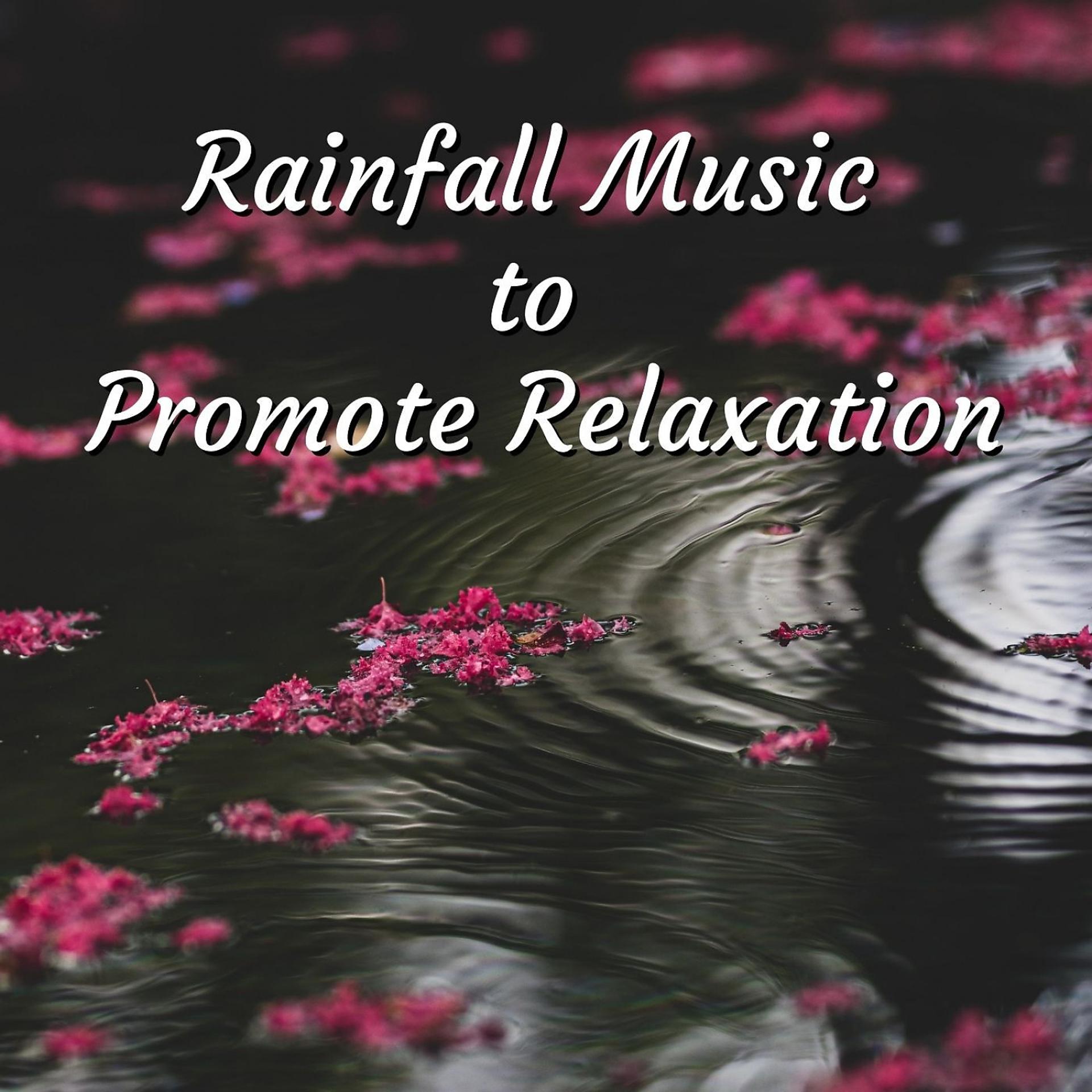 Постер альбома Rainfall Music to Promote Relaxation