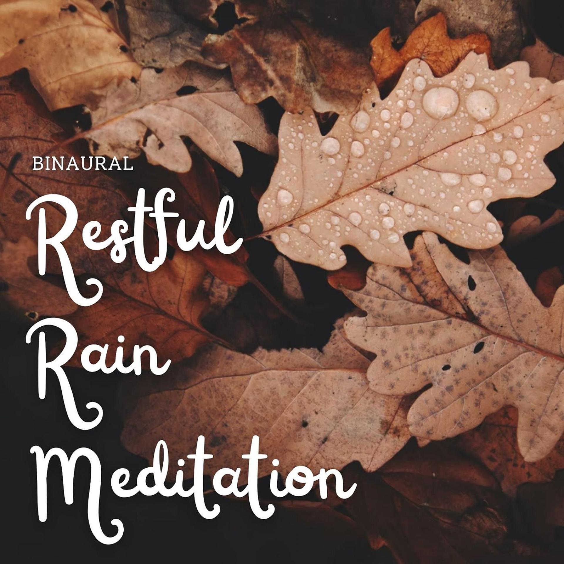 Постер альбома Binaural: Restful Rain Meditation