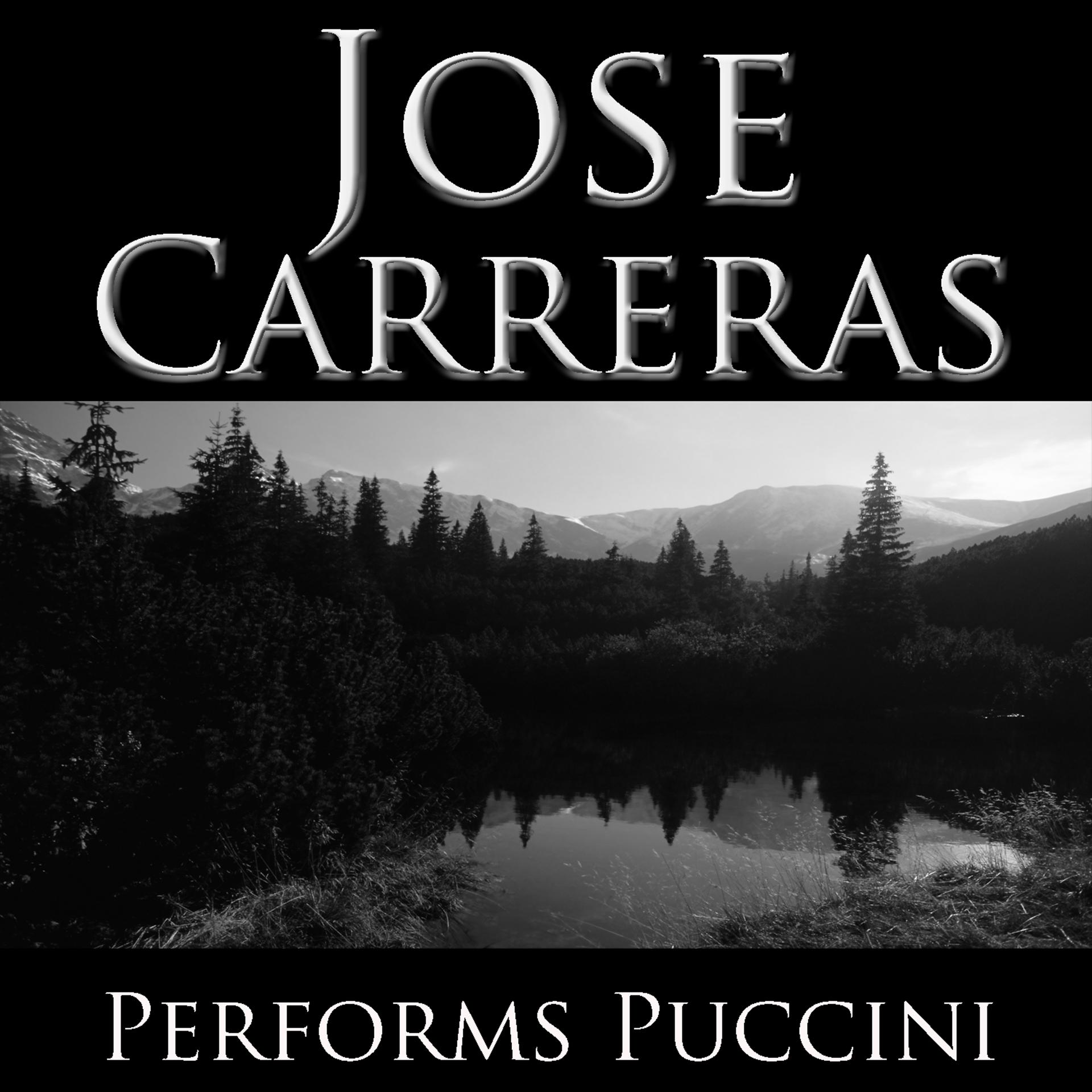 Постер альбома Jose Carreras Performs Pucinni