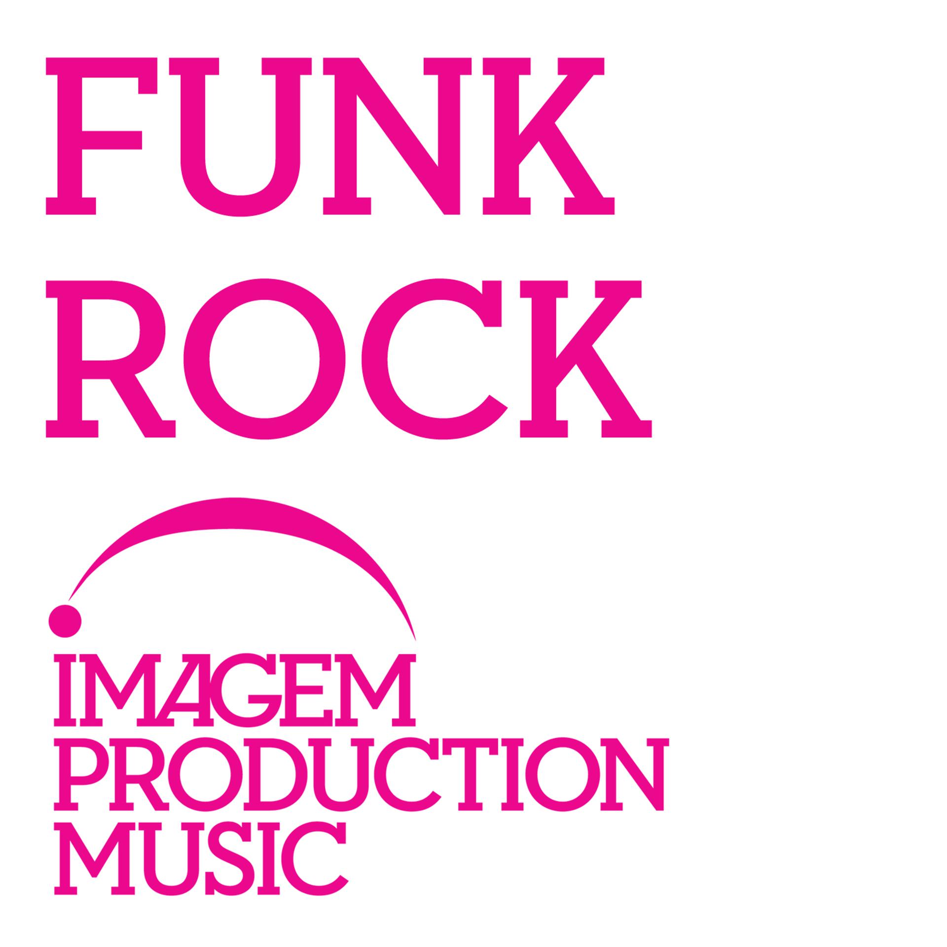 Постер альбома Funk Rock