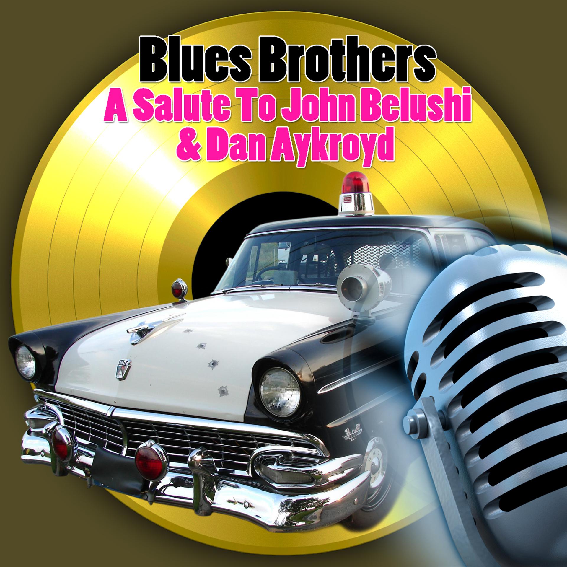 Постер альбома Blues Brothers - a Salute to John Belushi & Dan Aykroyd