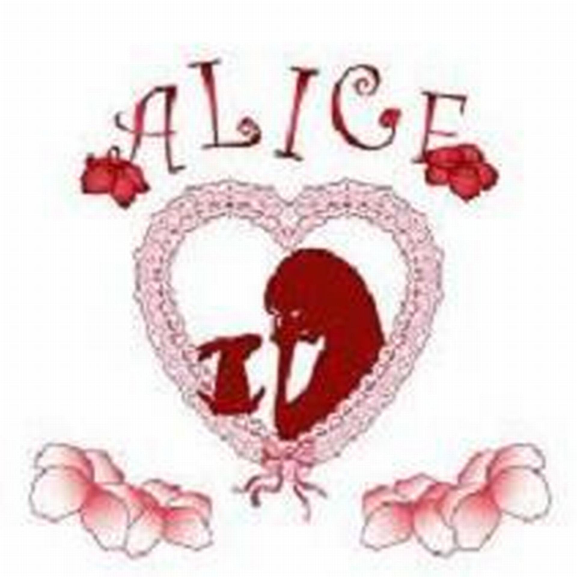 Постер альбома ALICE in Neverland