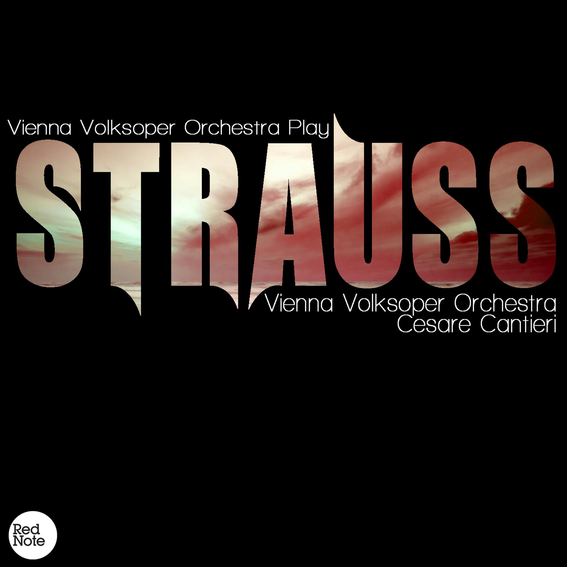 Постер альбома Strauss: Vienna Volksoper Orchestra Play