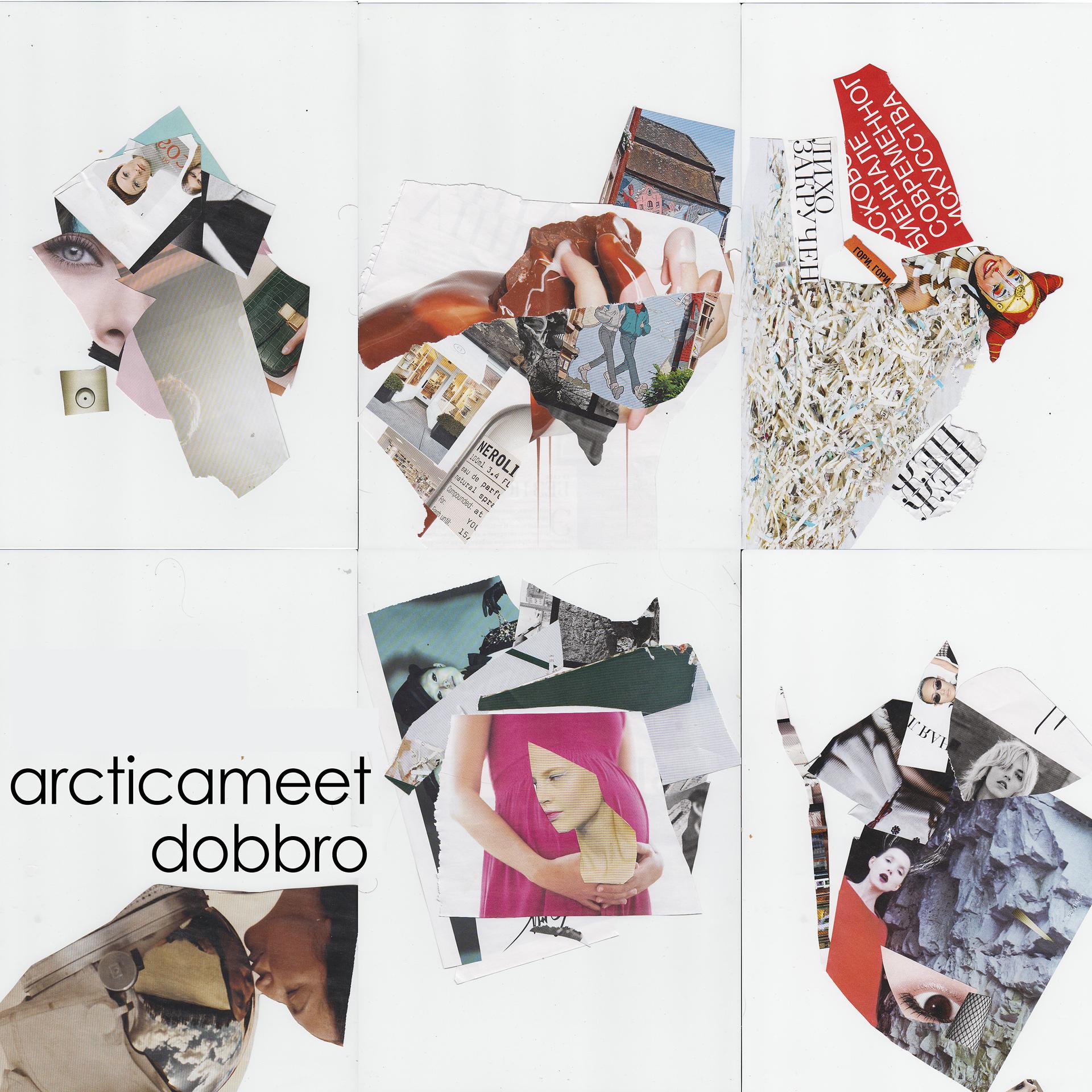 Постер альбома Arcticameet