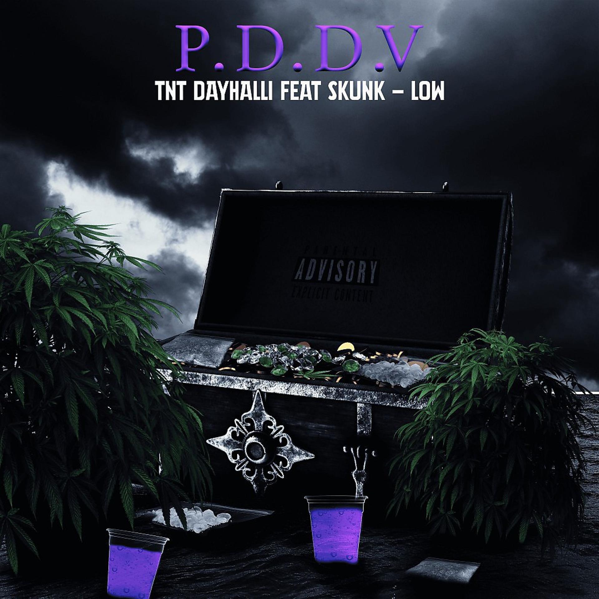 Постер альбома P.D.D.V