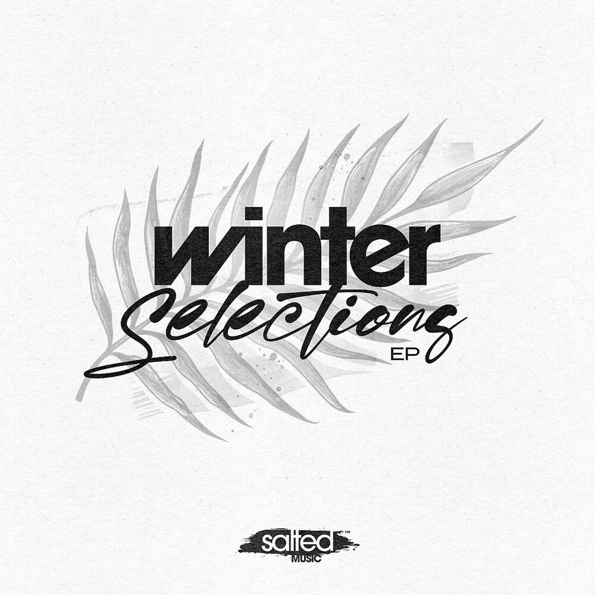 Постер альбома Winter Selections