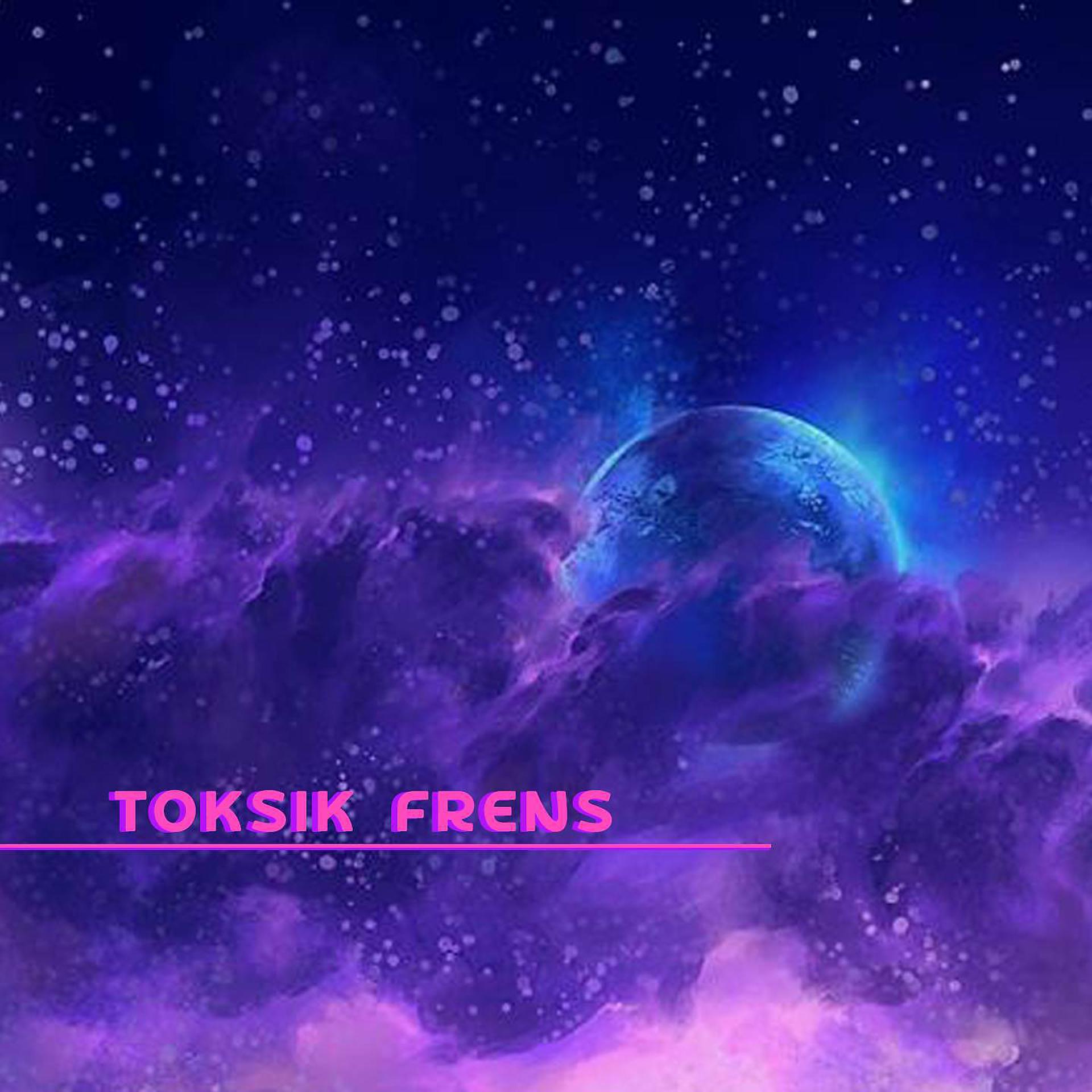 Постер альбома Toksik Frens