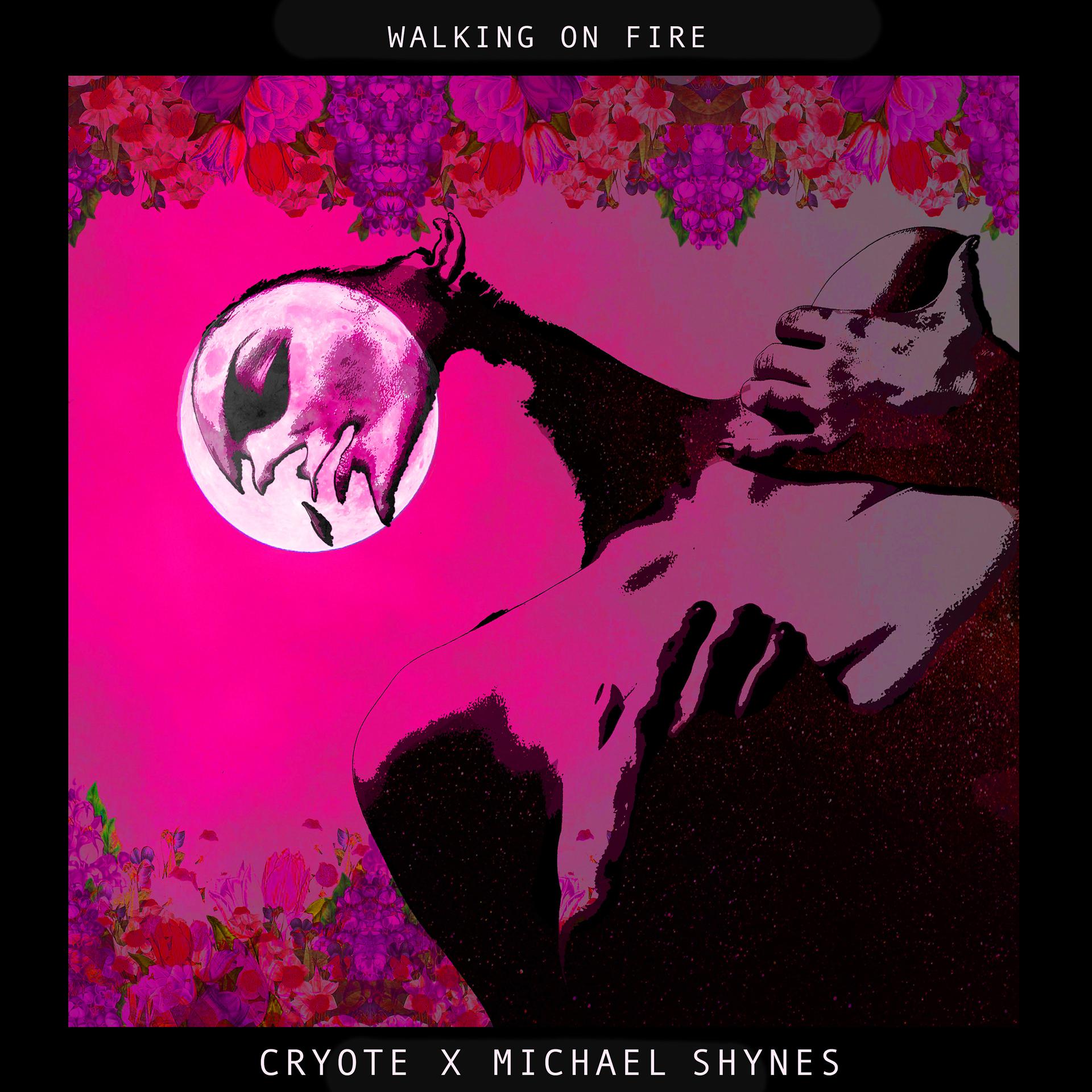 Постер альбома Walking on Fire