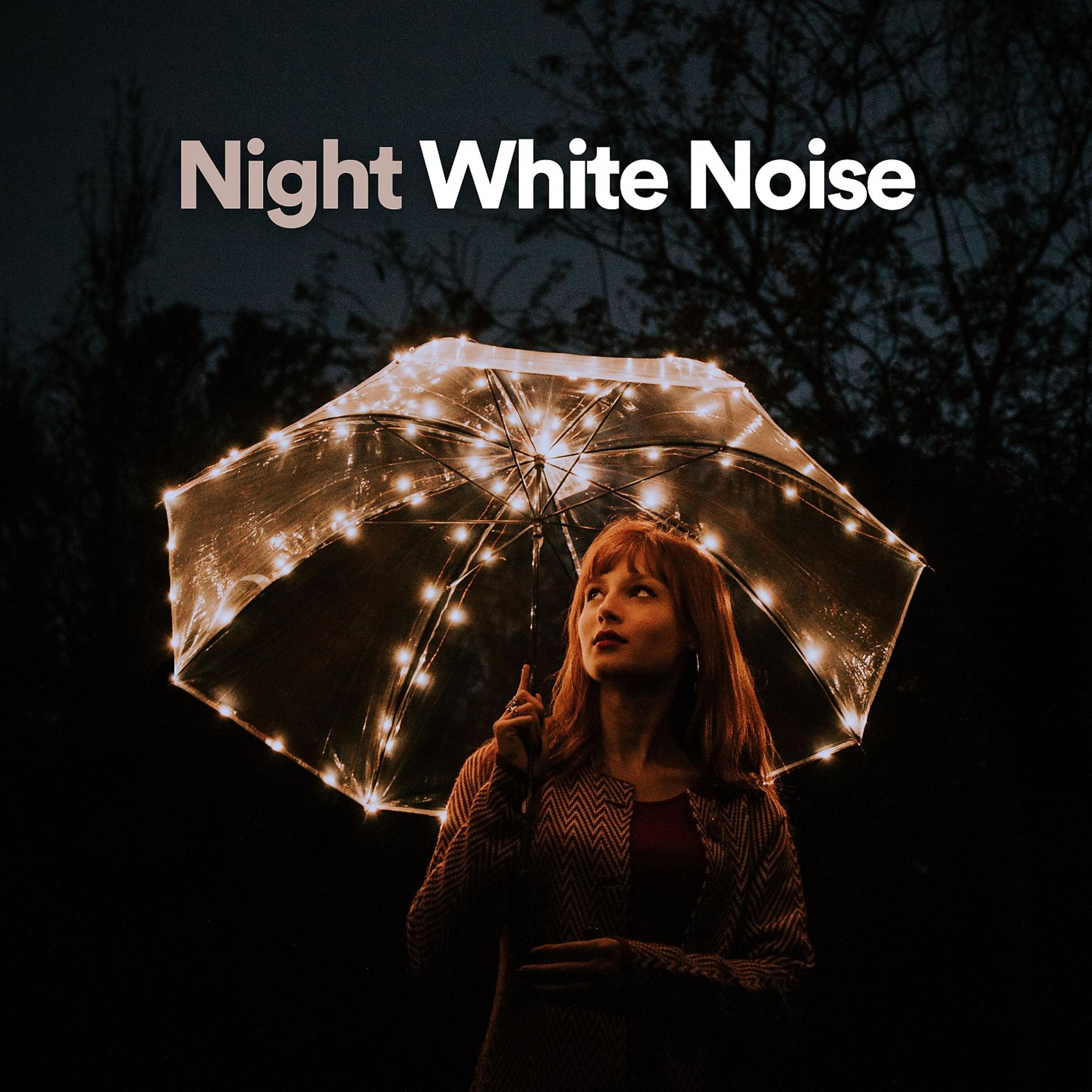 Постер альбома Night White Noise
