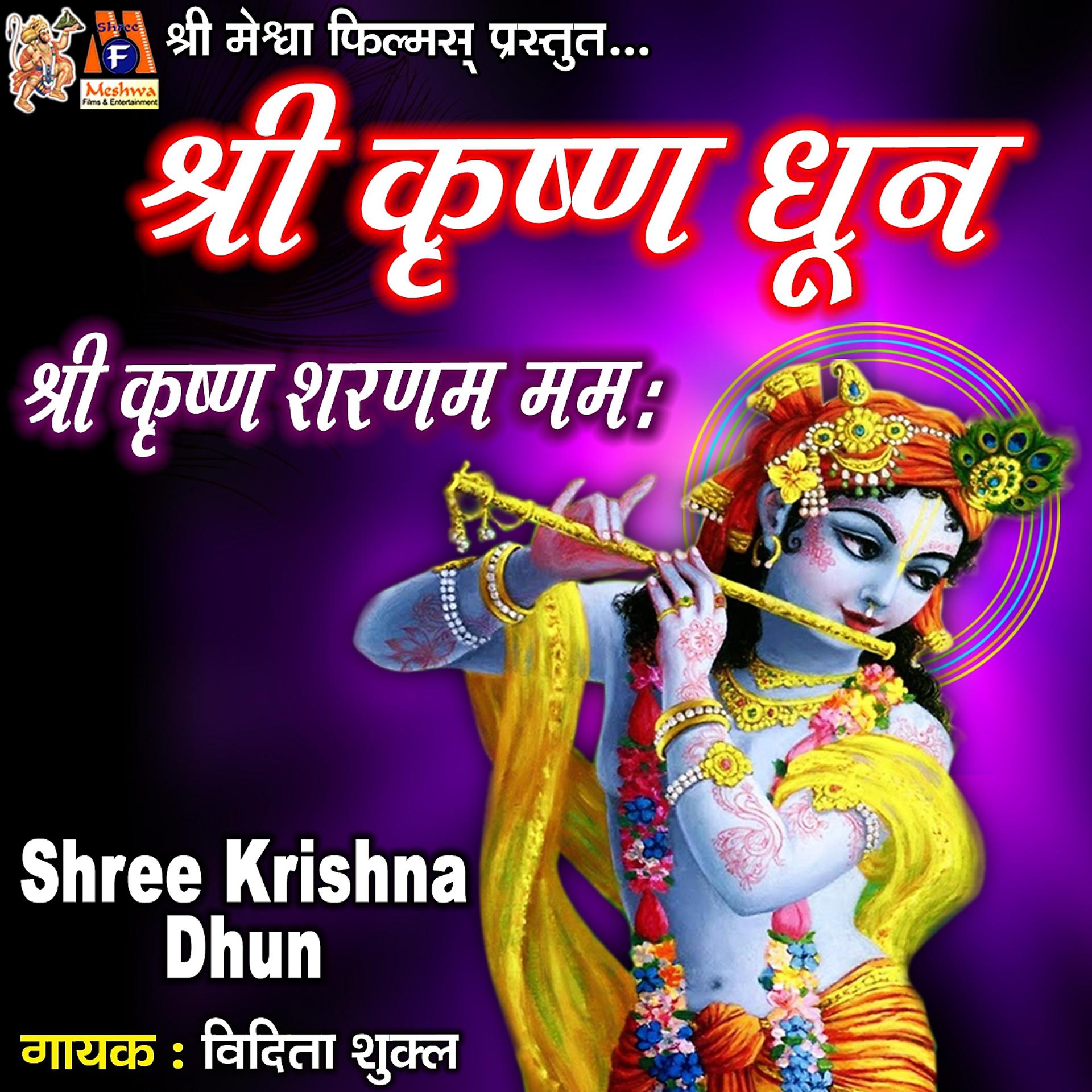 Постер альбома Shree Krishna Dhun