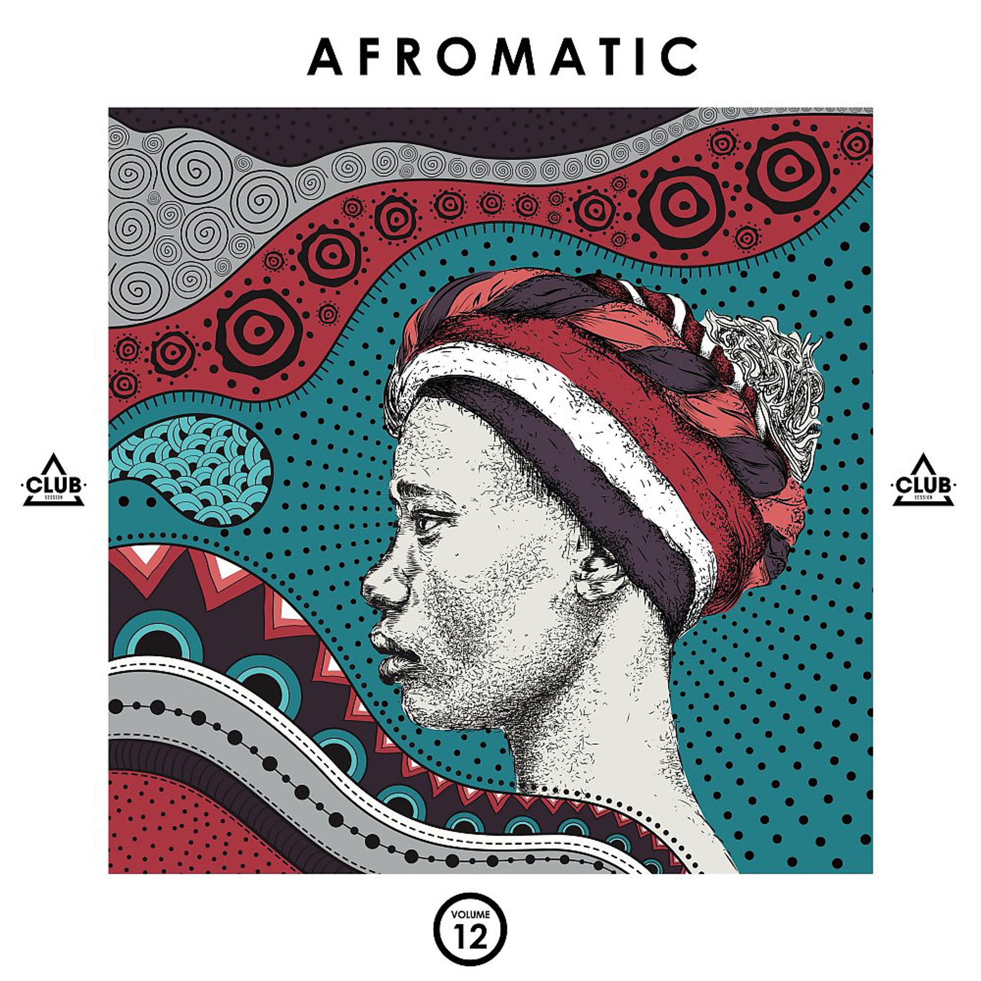 Постер альбома Afromatic, Vol. 12