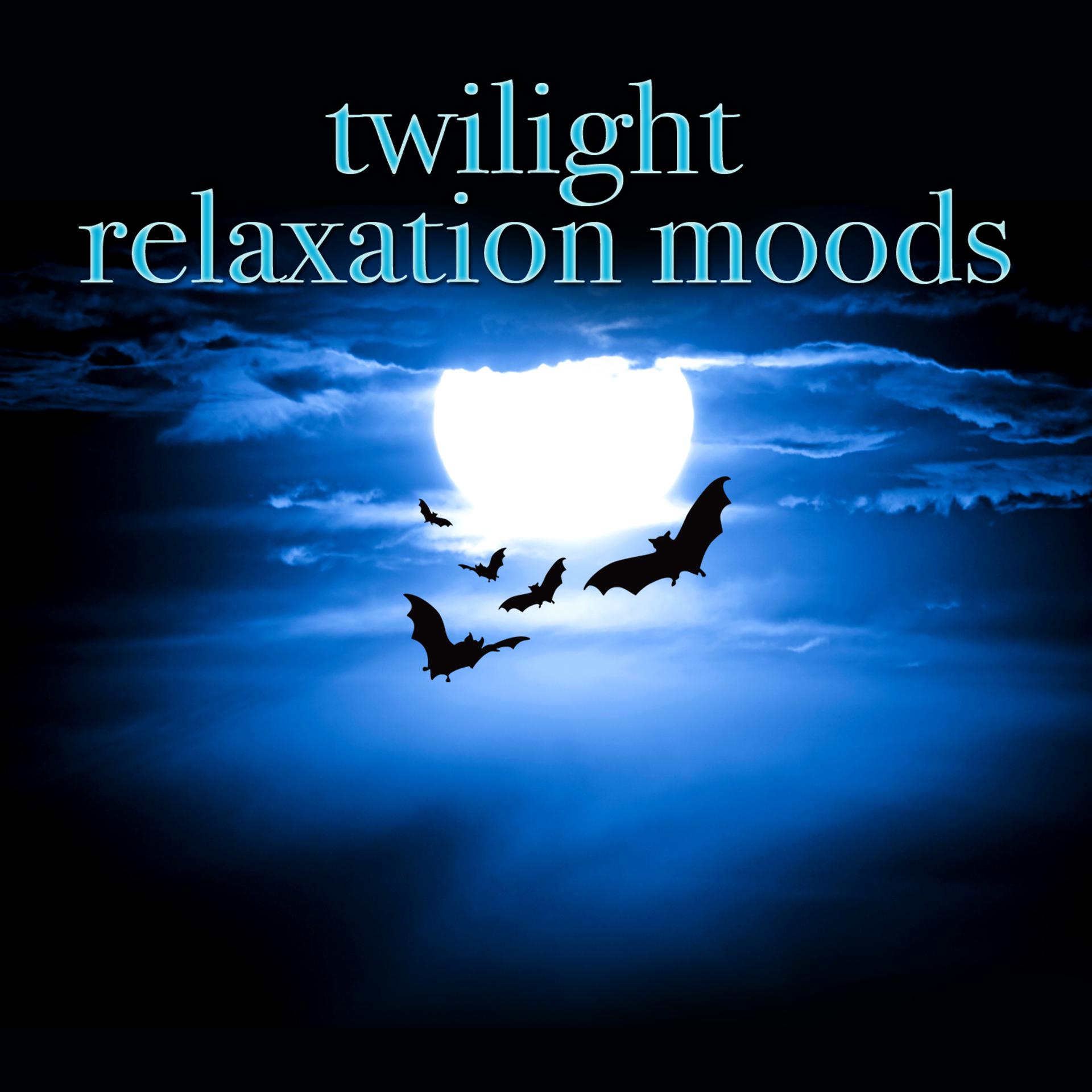 Постер альбома Twilight Relaxation Moods