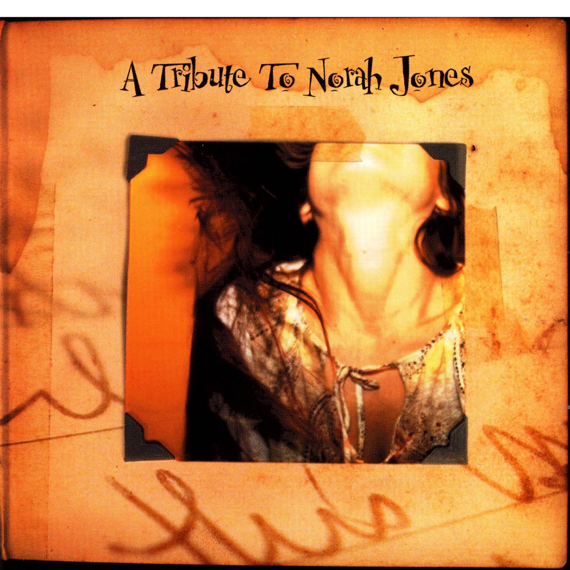Постер альбома A Tribute To Norah Jones