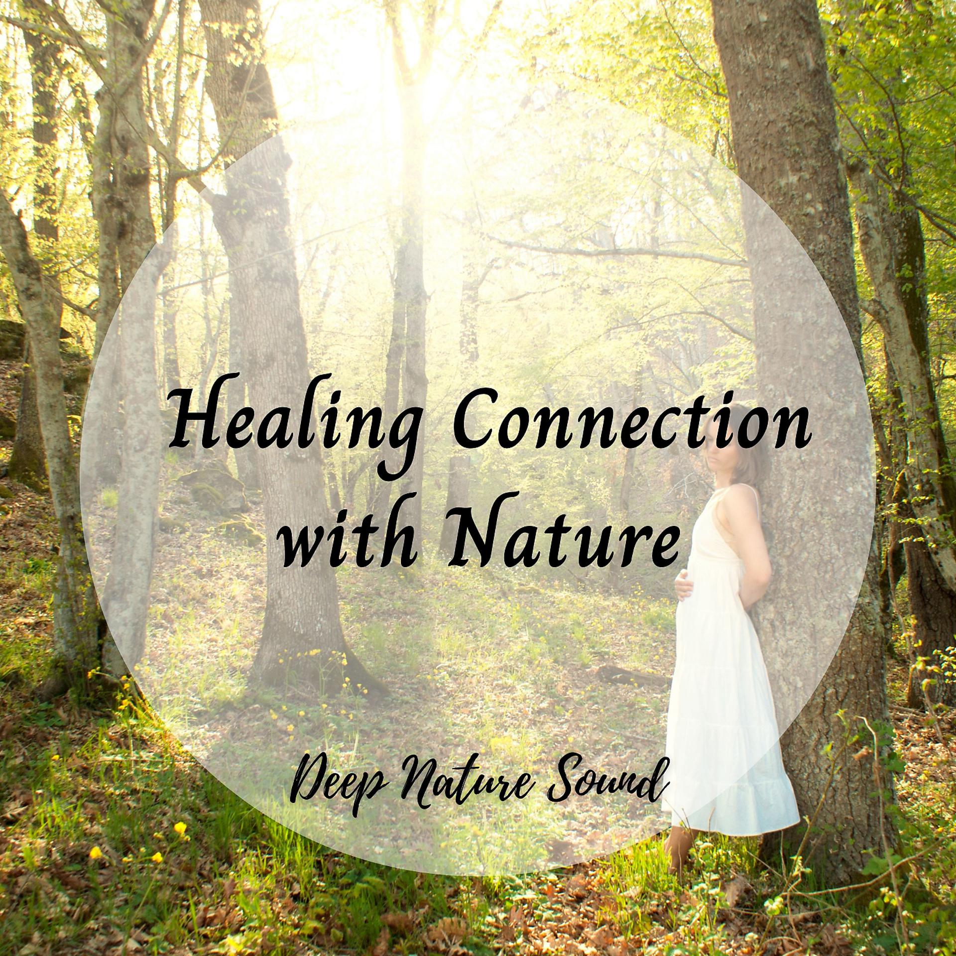Постер альбома Deep Nature Sound: Healing Connection with Nature