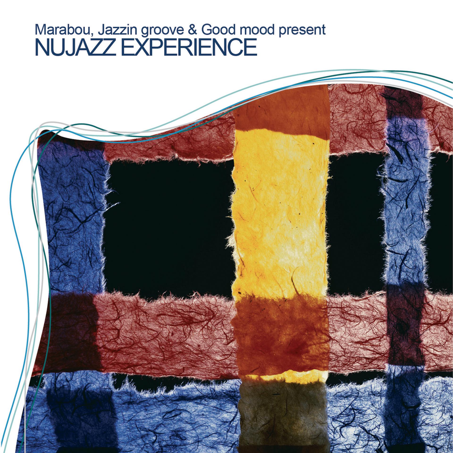 Постер альбома Nujazz Experience