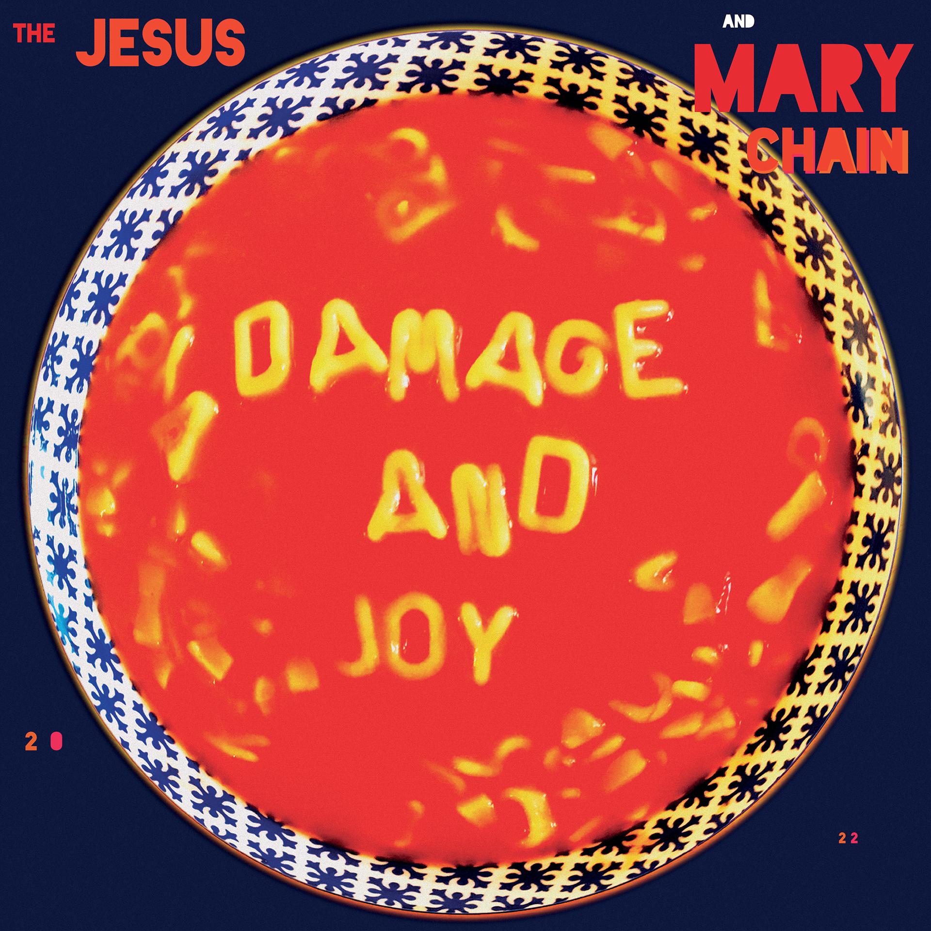 Постер альбома Damage and Joy (Deluxe)