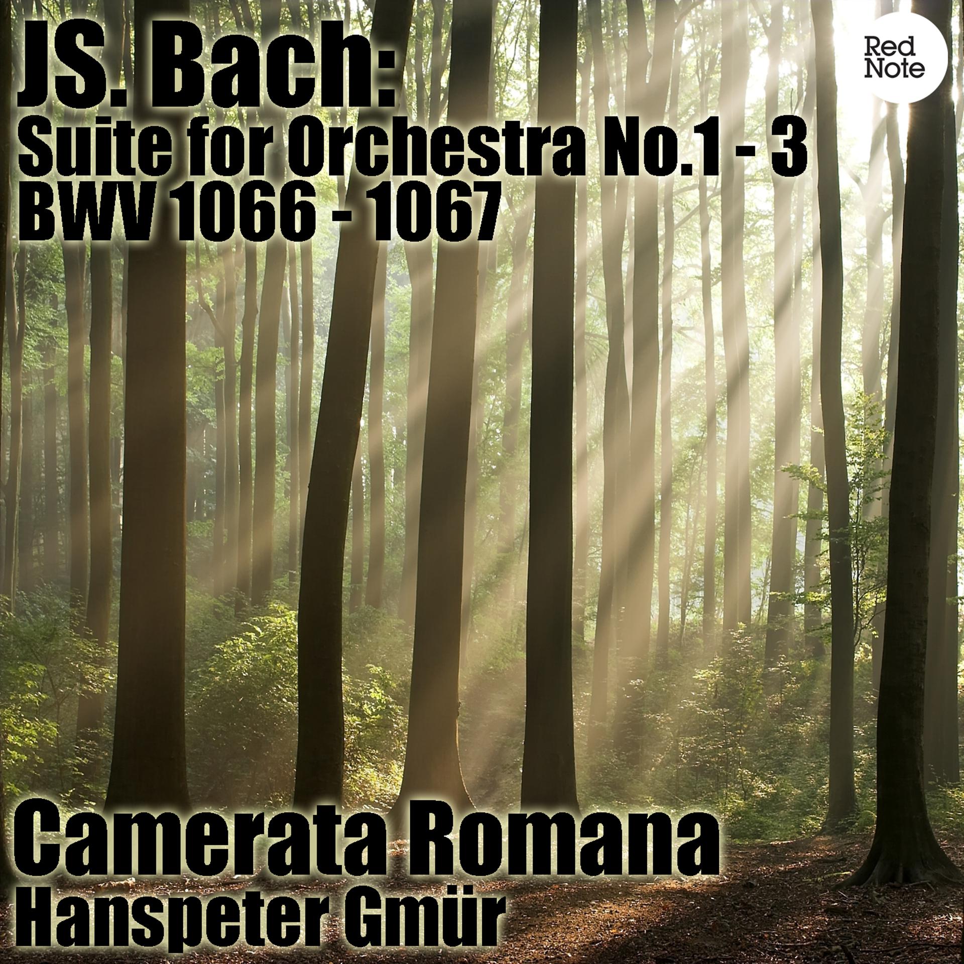 Постер альбома Bach: Suite for Orchestra No.1 - 3, BWV 1066 - 1067