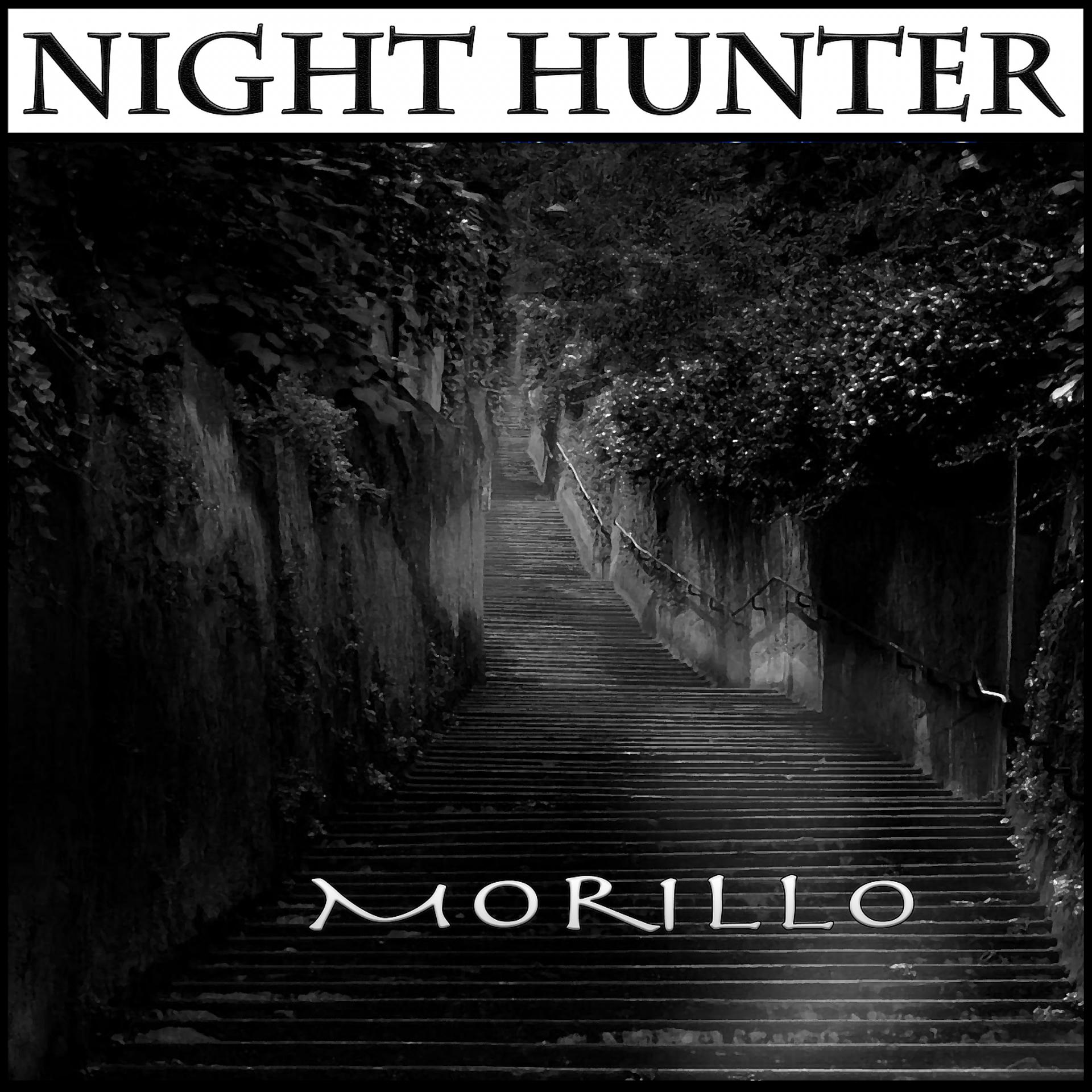 Постер альбома Night Hunter