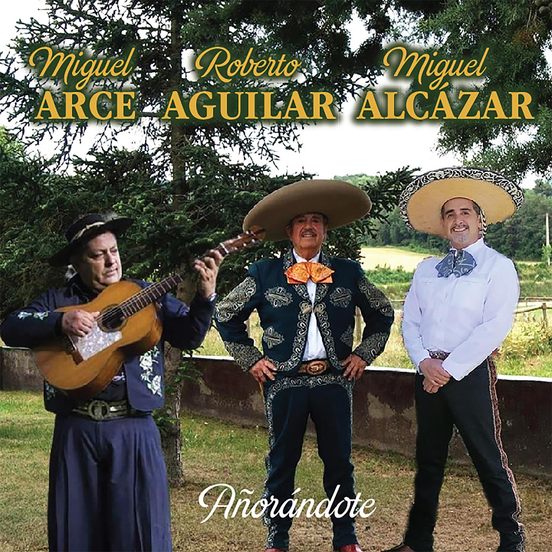 Постер альбома Añorándote