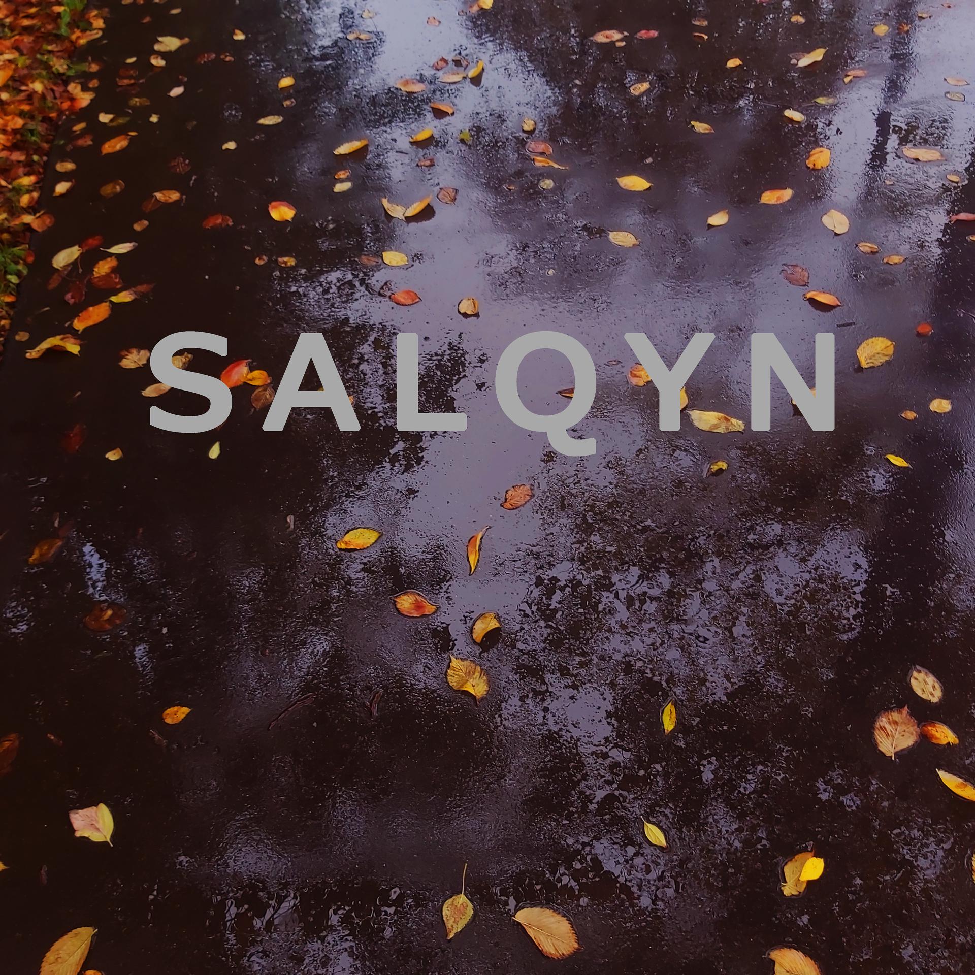 Постер альбома Salqyn