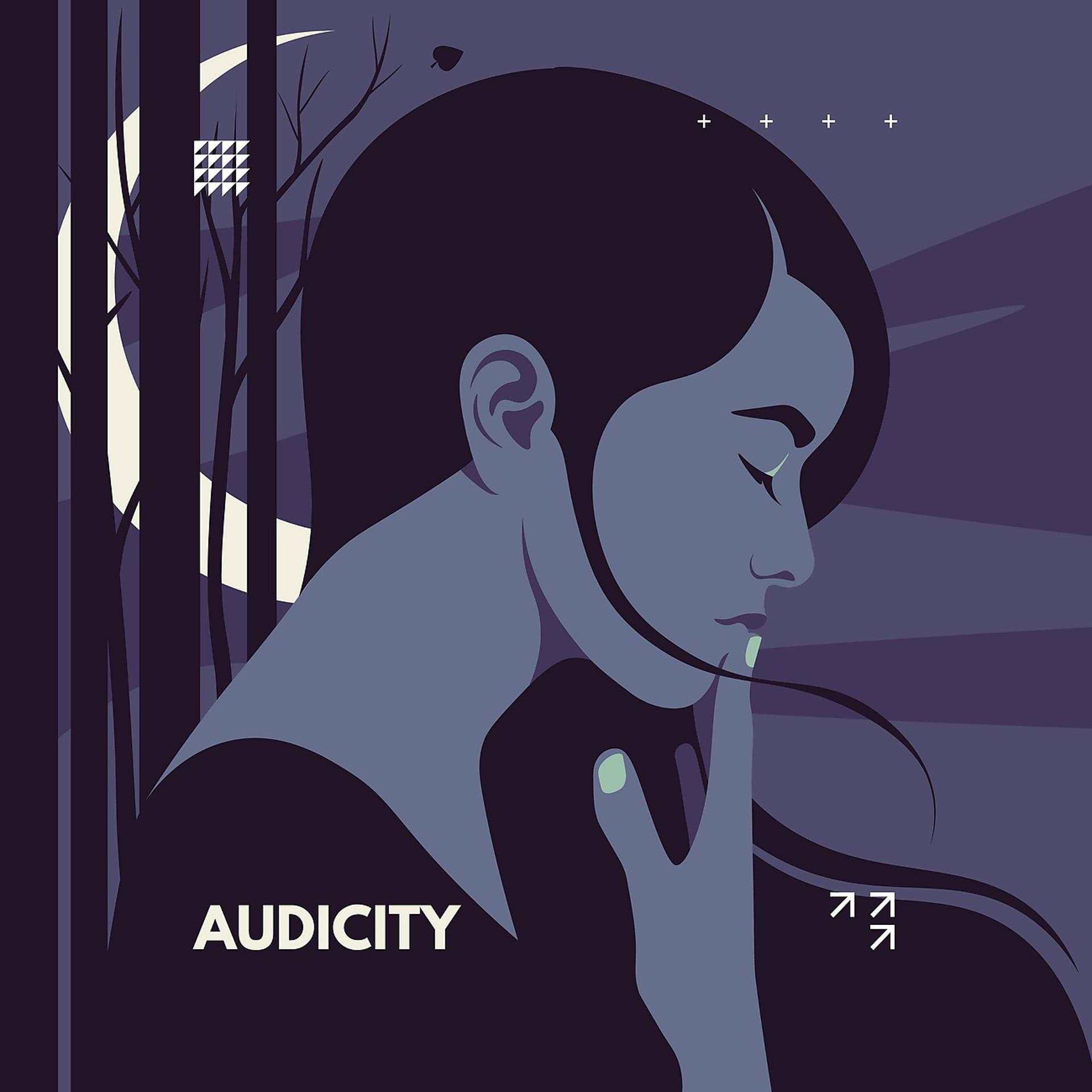 Постер альбома Audicity