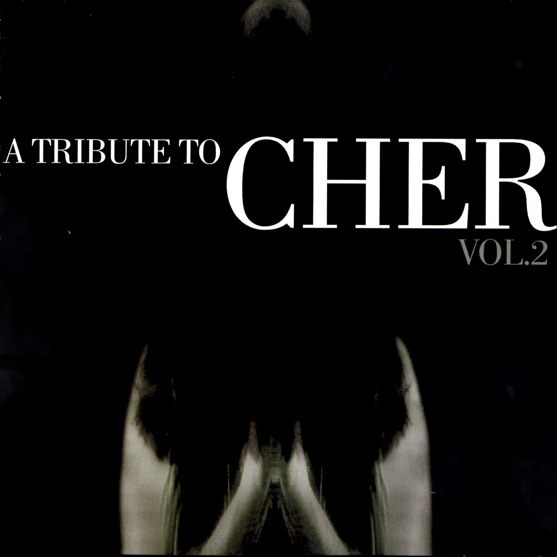 Постер альбома The Complete Tribute To Cher