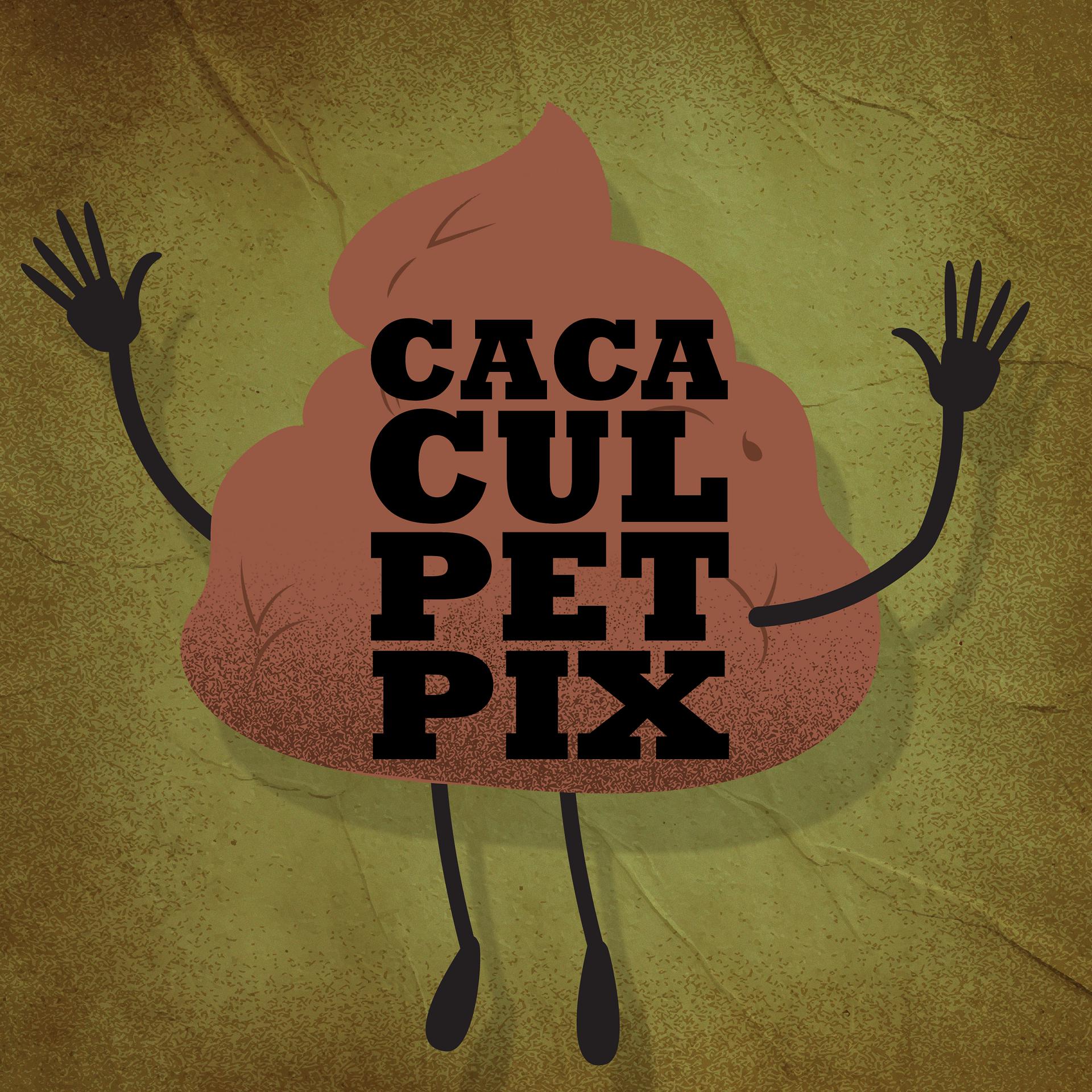 Постер альбома Caca cul pet pix