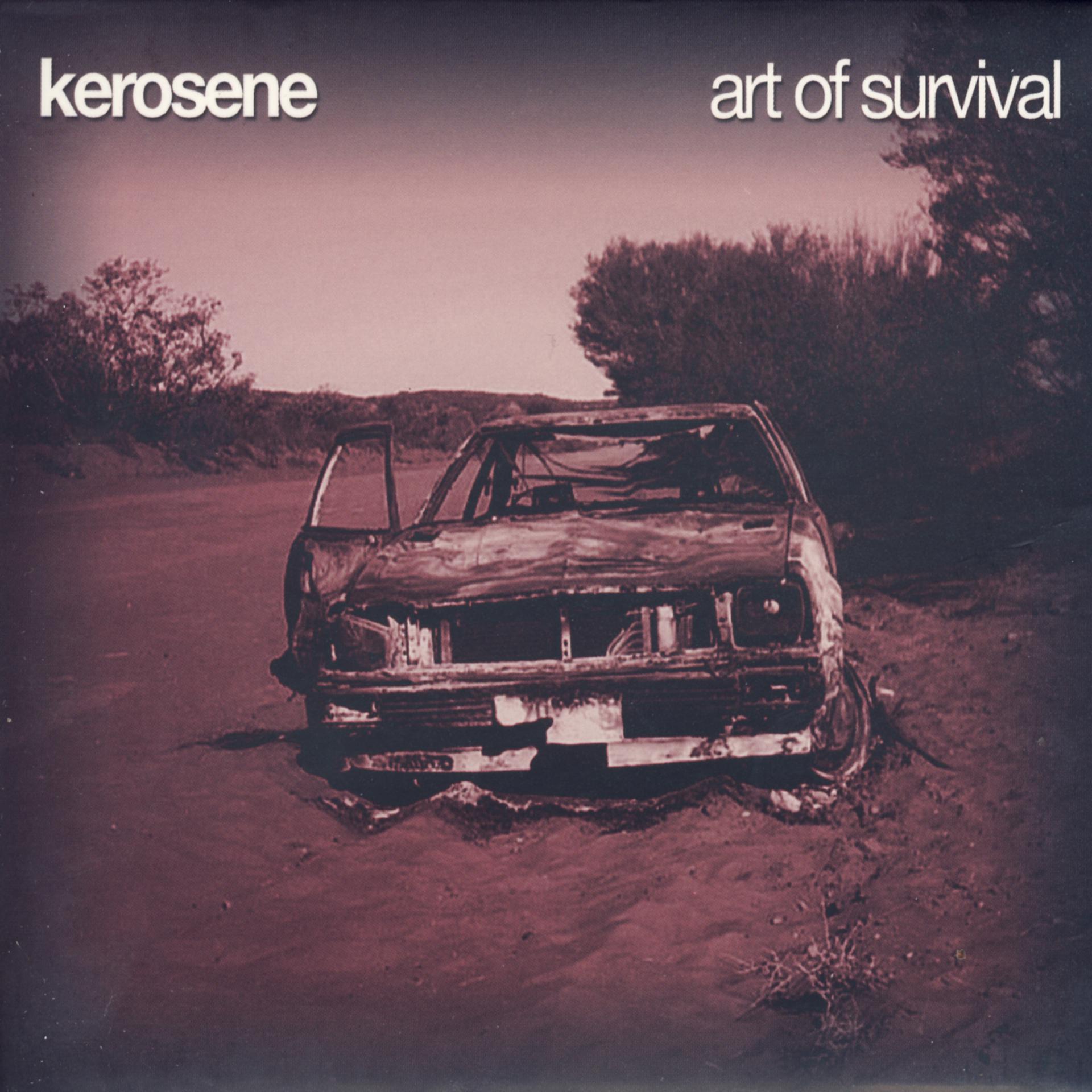 Постер альбома Art Of Survival