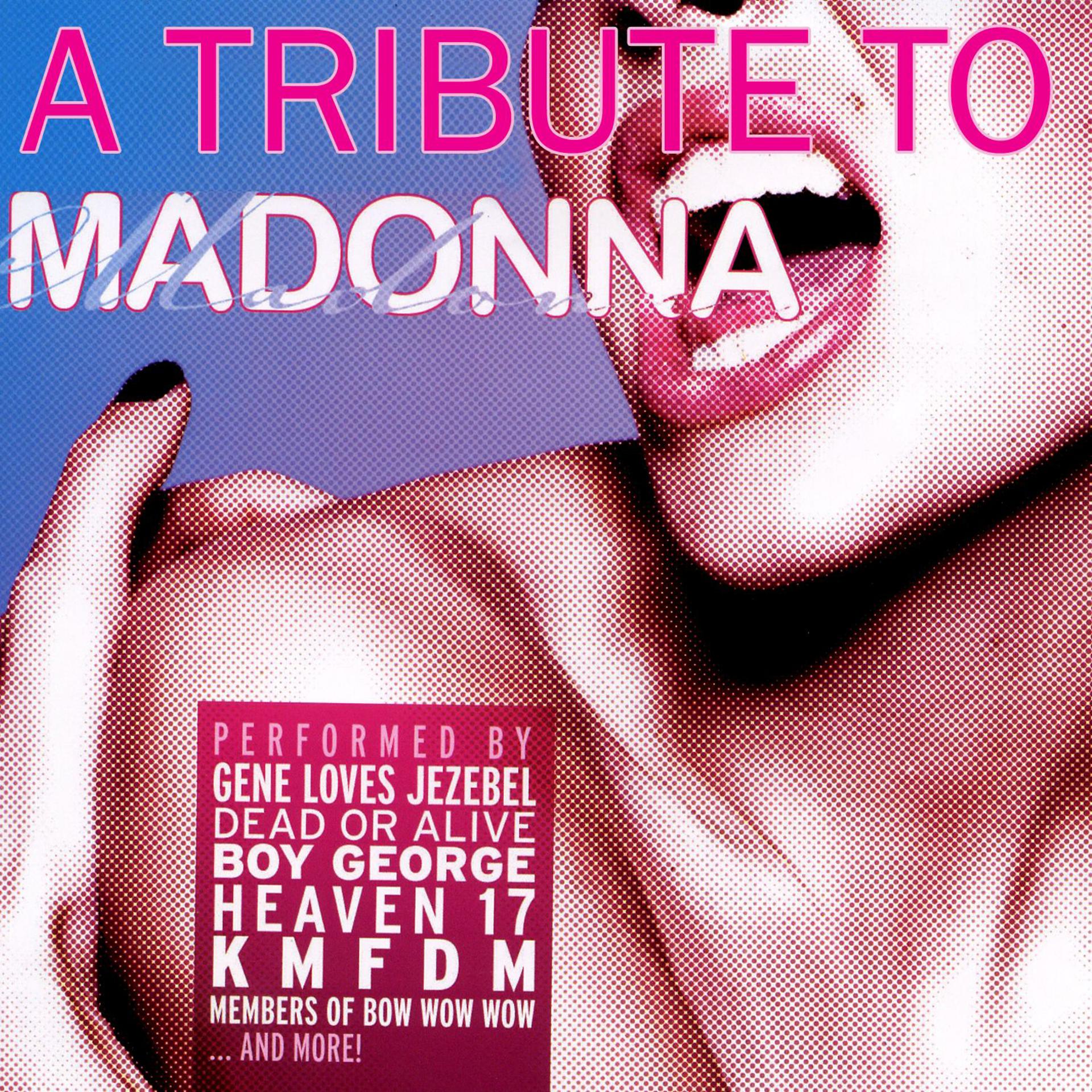 Постер альбома A Tribute To Madonna