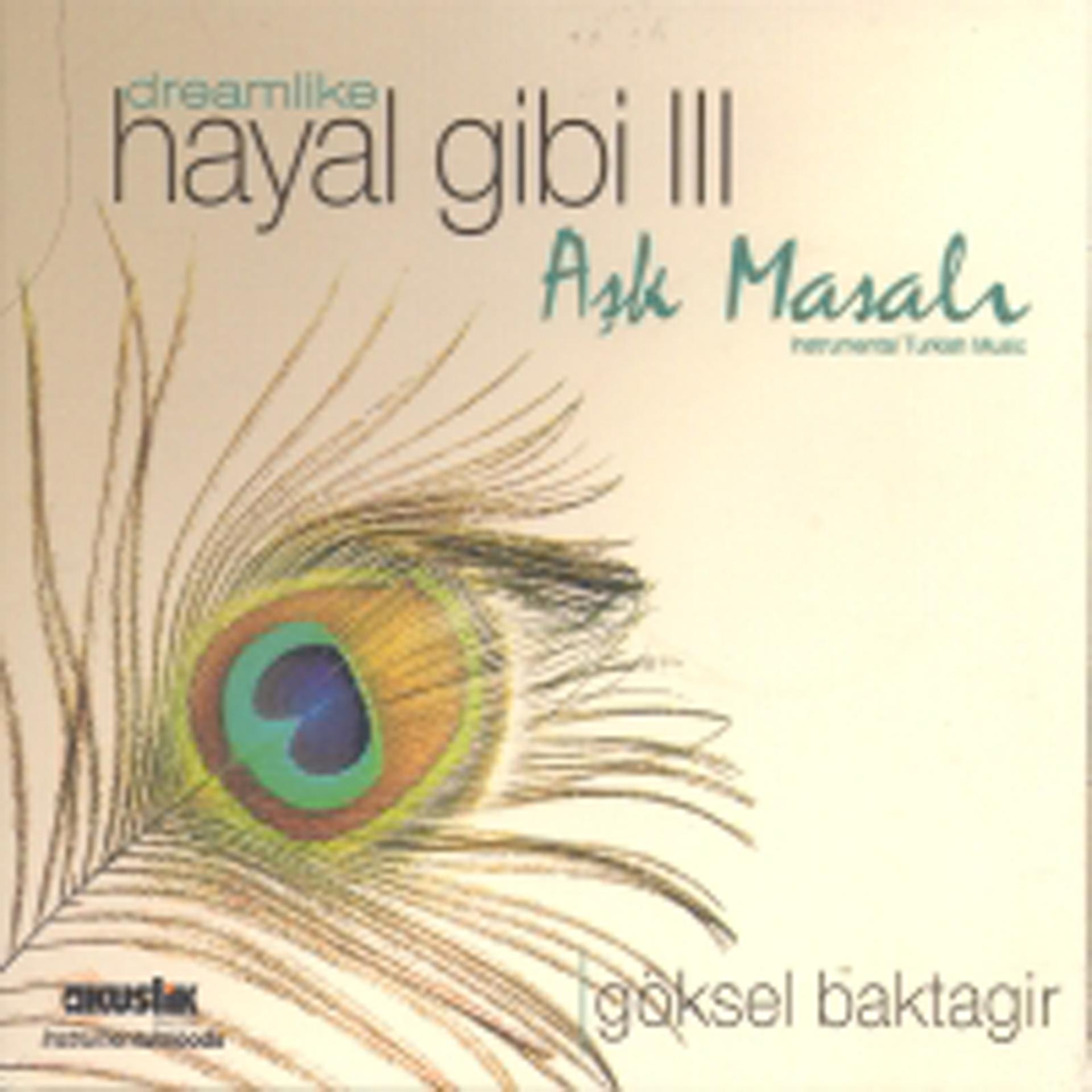 Постер альбома Hayal Gibi 3