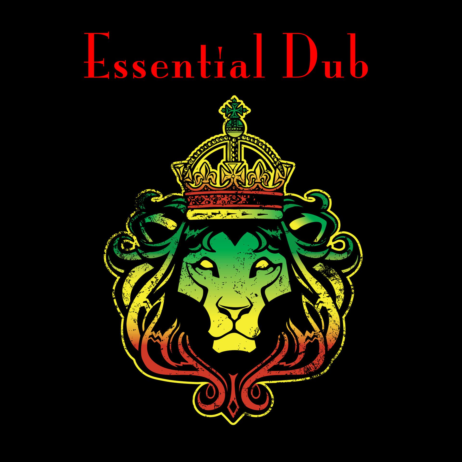 Постер альбома Essential Dub