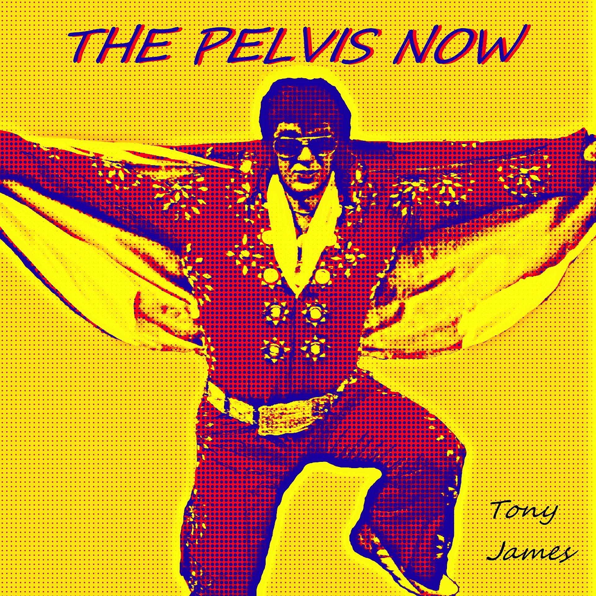 Постер альбома The Pelvis Now