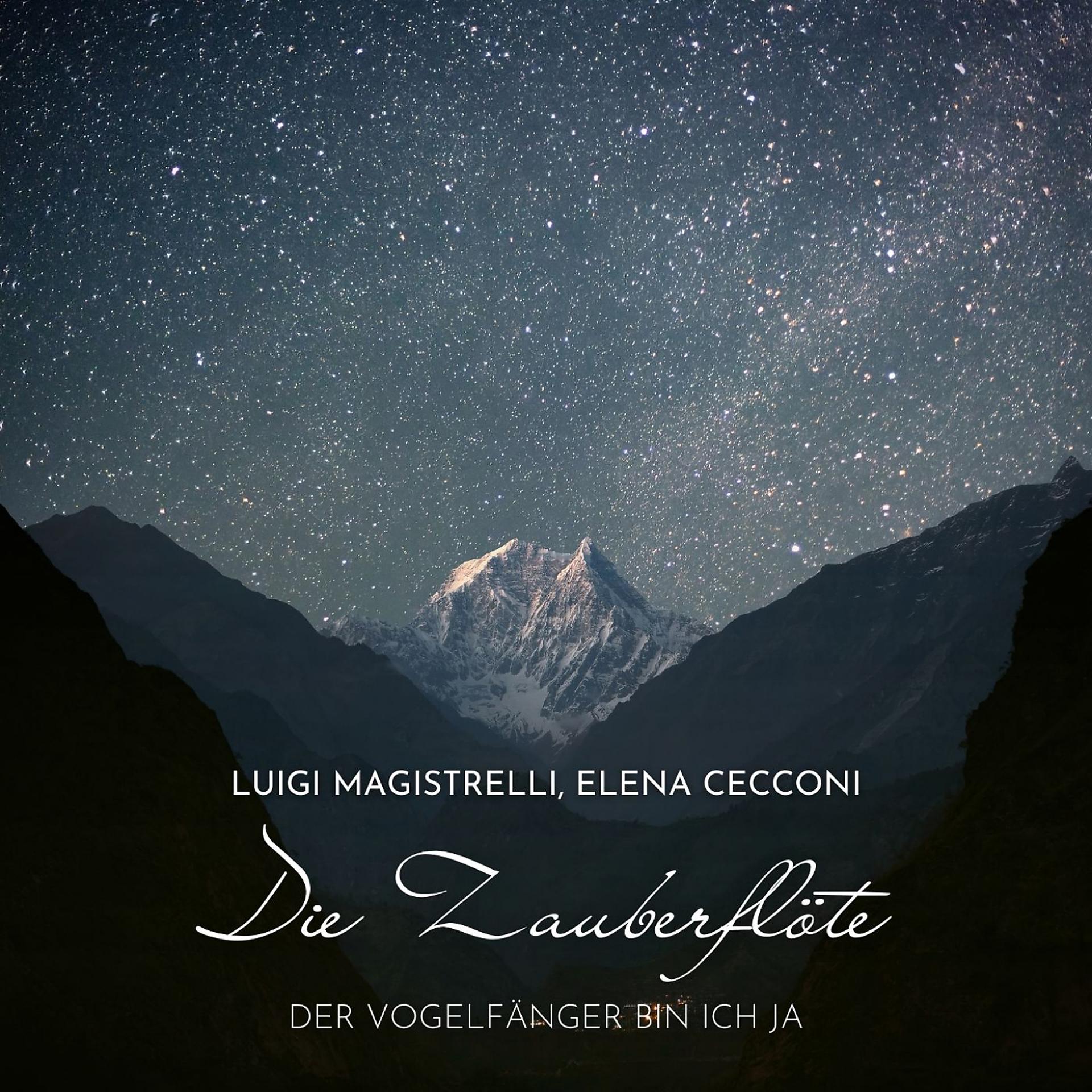 Постер альбома Die Zauberflöte: "Der Vogelfänger bin ich ja"