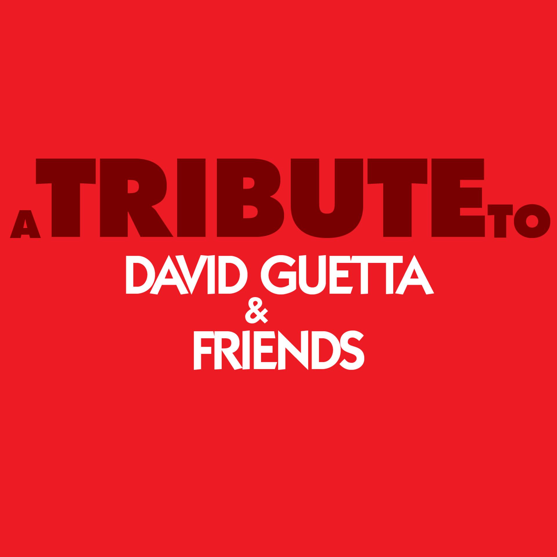 Постер альбома A Tribute to David Guetta & Friends