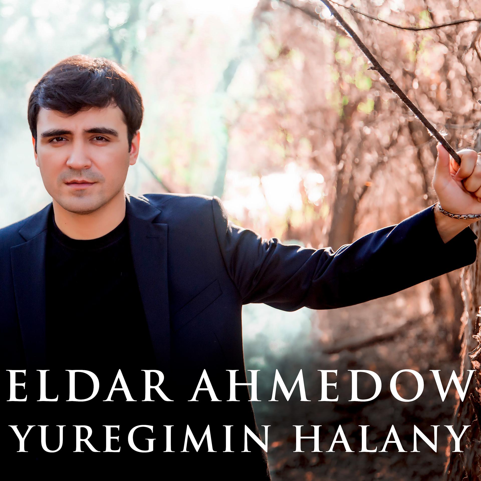 Постер альбома Yuregimin Halany