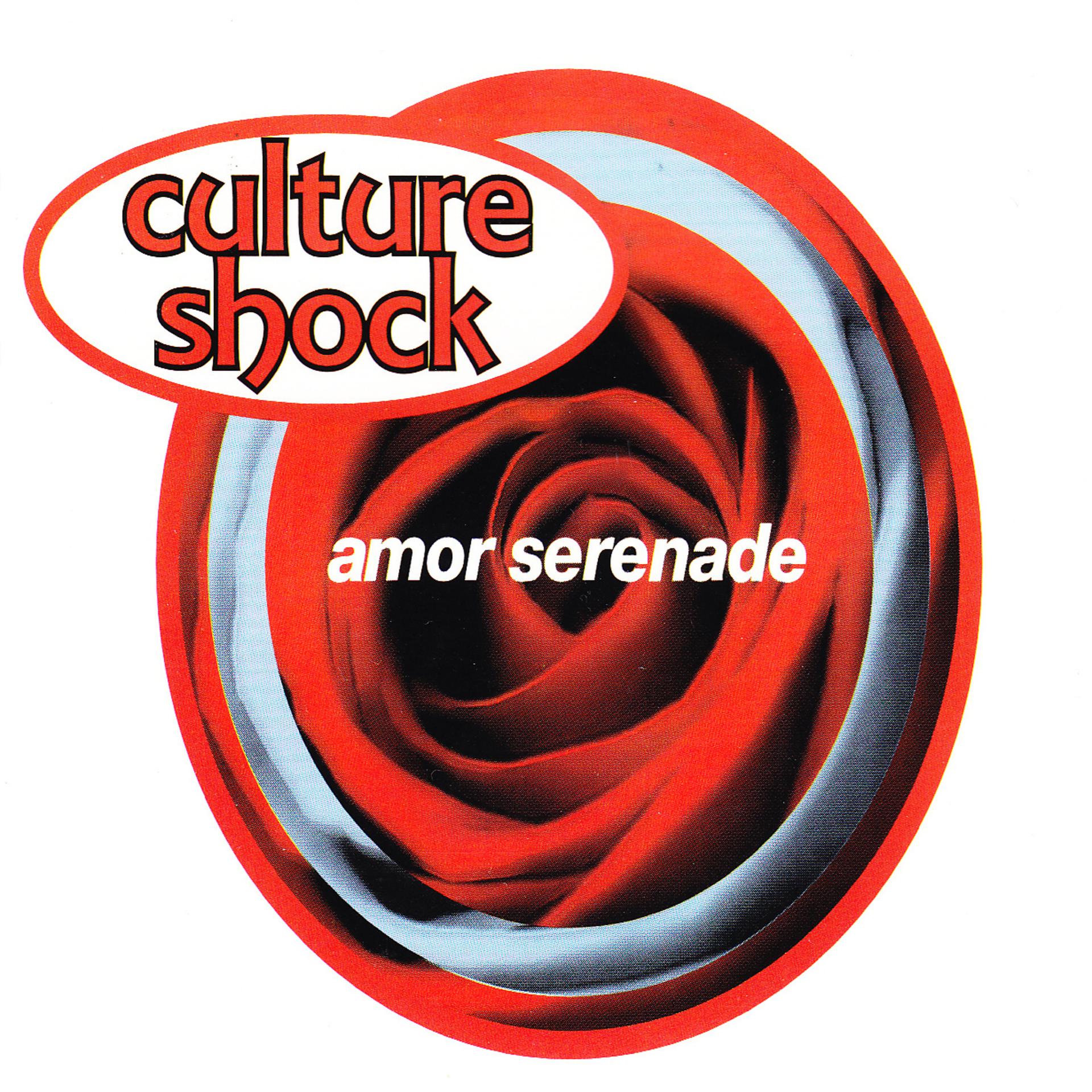 Постер альбома Amor Serenade