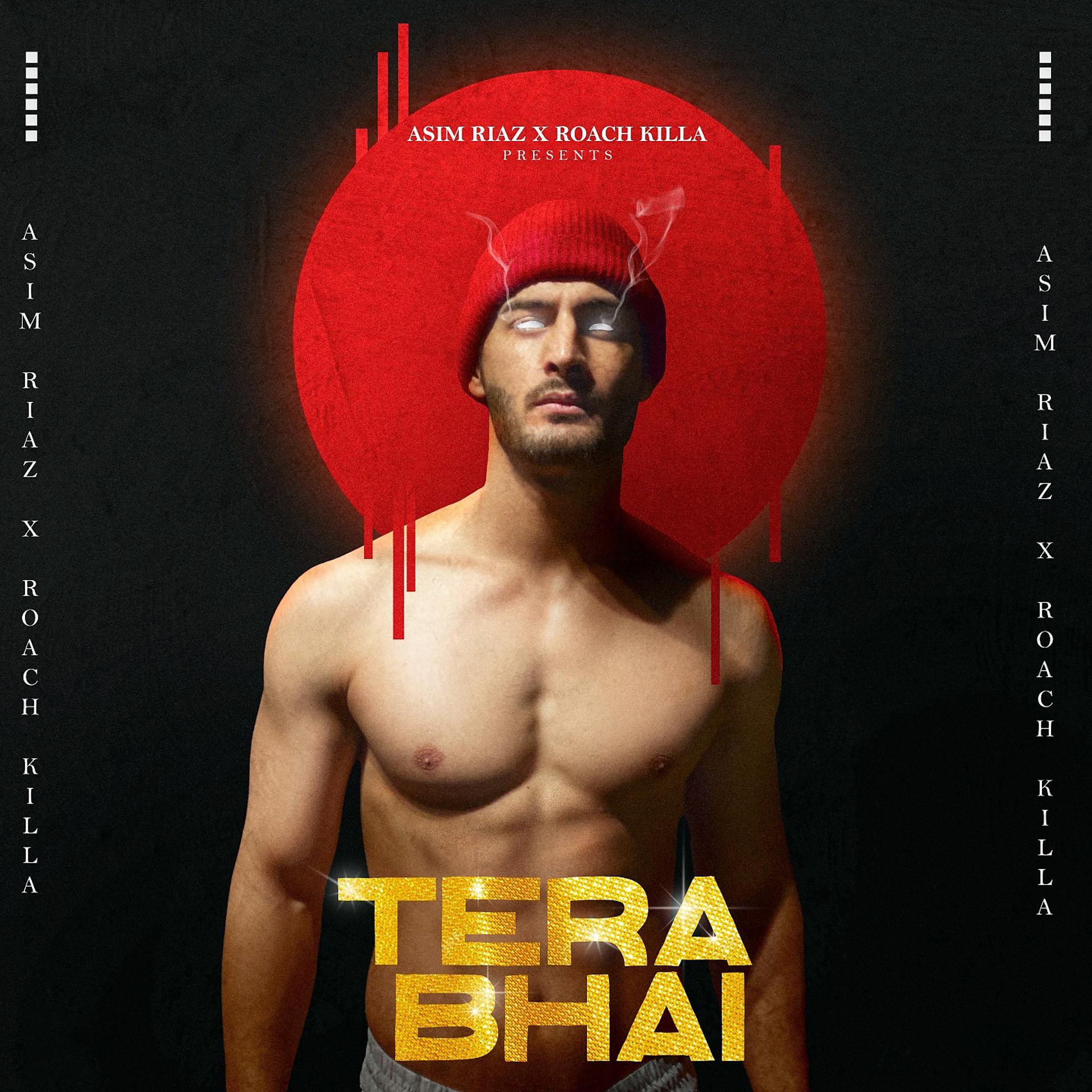 Постер альбома Tera Bhai