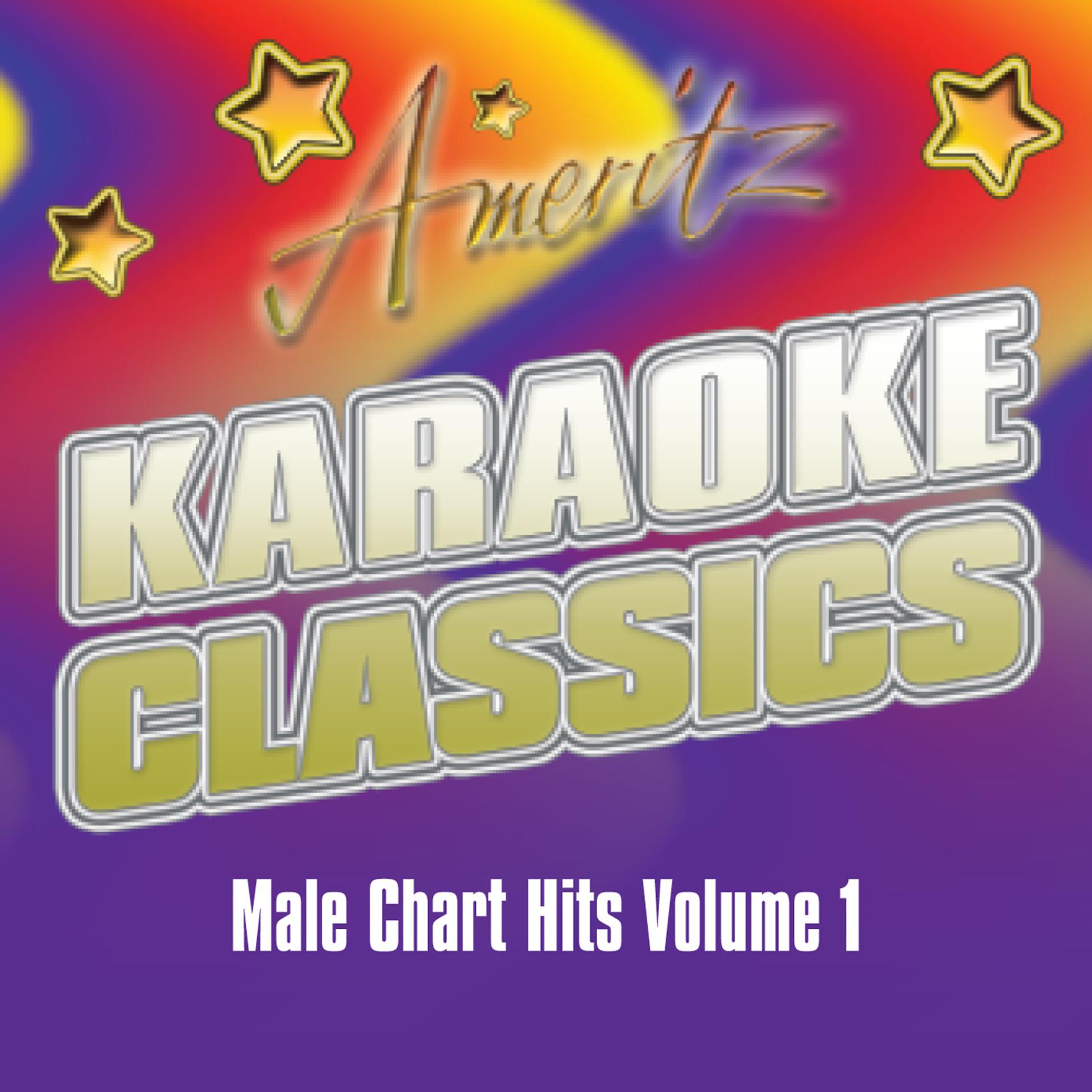 Постер альбома Karaoke - Male Chart Hits Vol.1