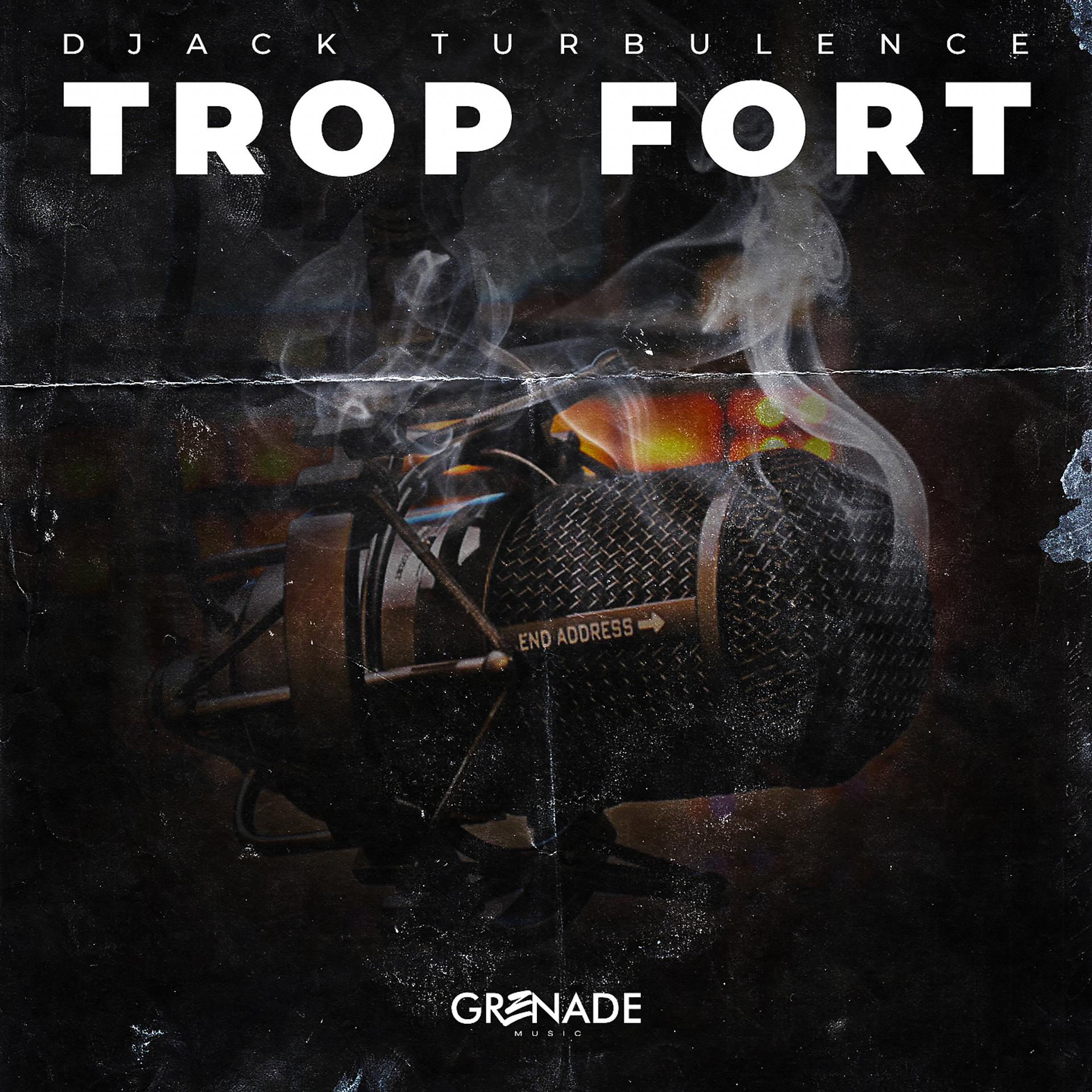 Постер альбома Trop fort