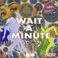 Постер альбома WAIT A MINUTE (feat. CJ Fly)